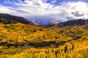 The Top 10 Places For Fall Leaves In Colorado