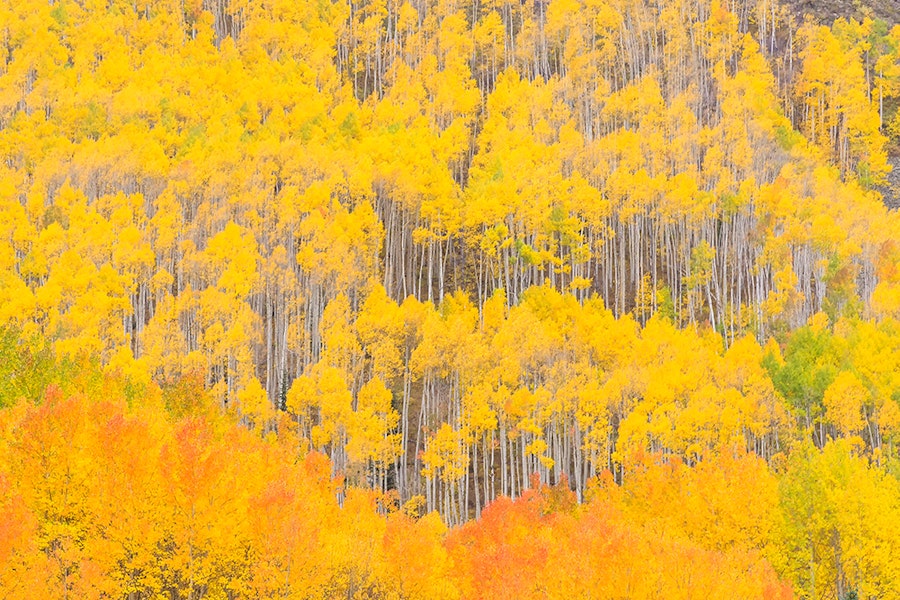 The 6 Best Spots For Fall Foliage In Colorado HuffPost