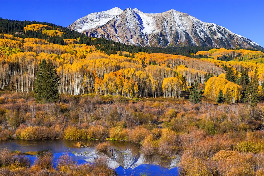 The 6 Best Spots For Fall Foliage In Colorado HuffPost