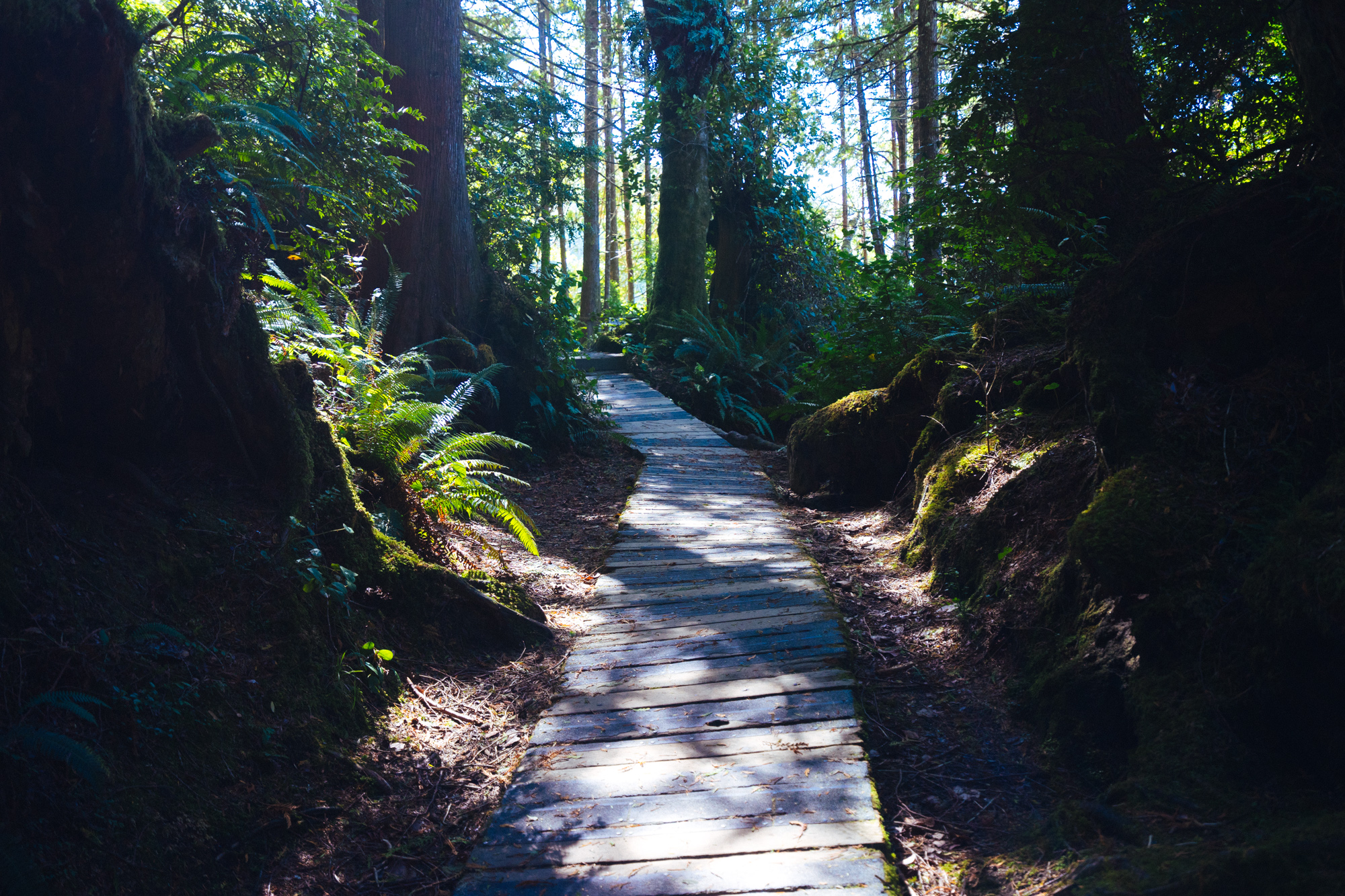 Hike to Tonquin Beach