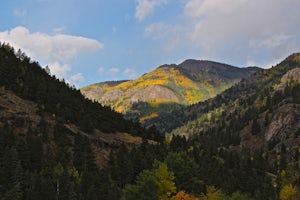 Capture Fall Foliage and Whitmore Falls on Engineer Pass