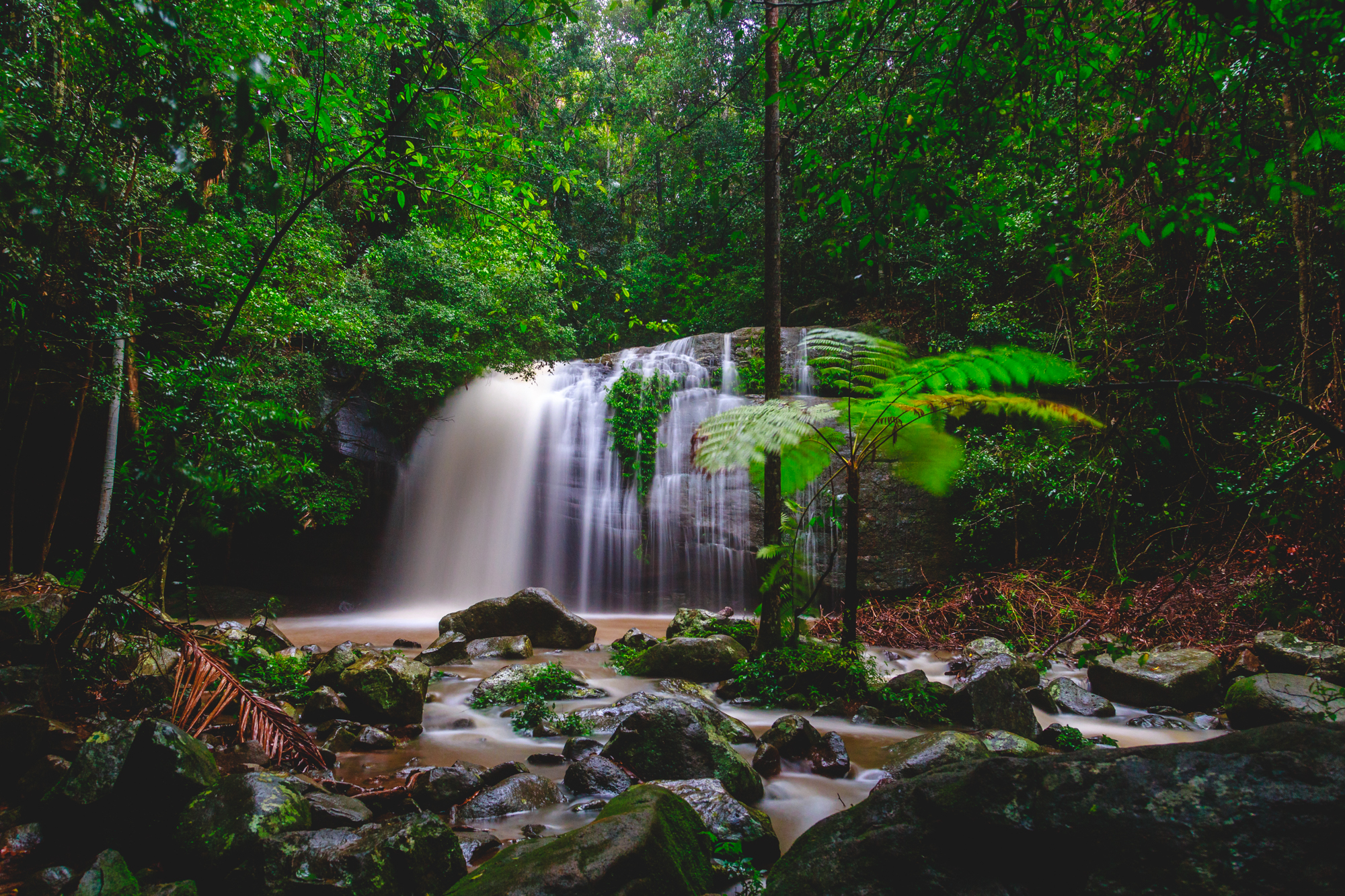 Explore Serenity Falls, Buderim