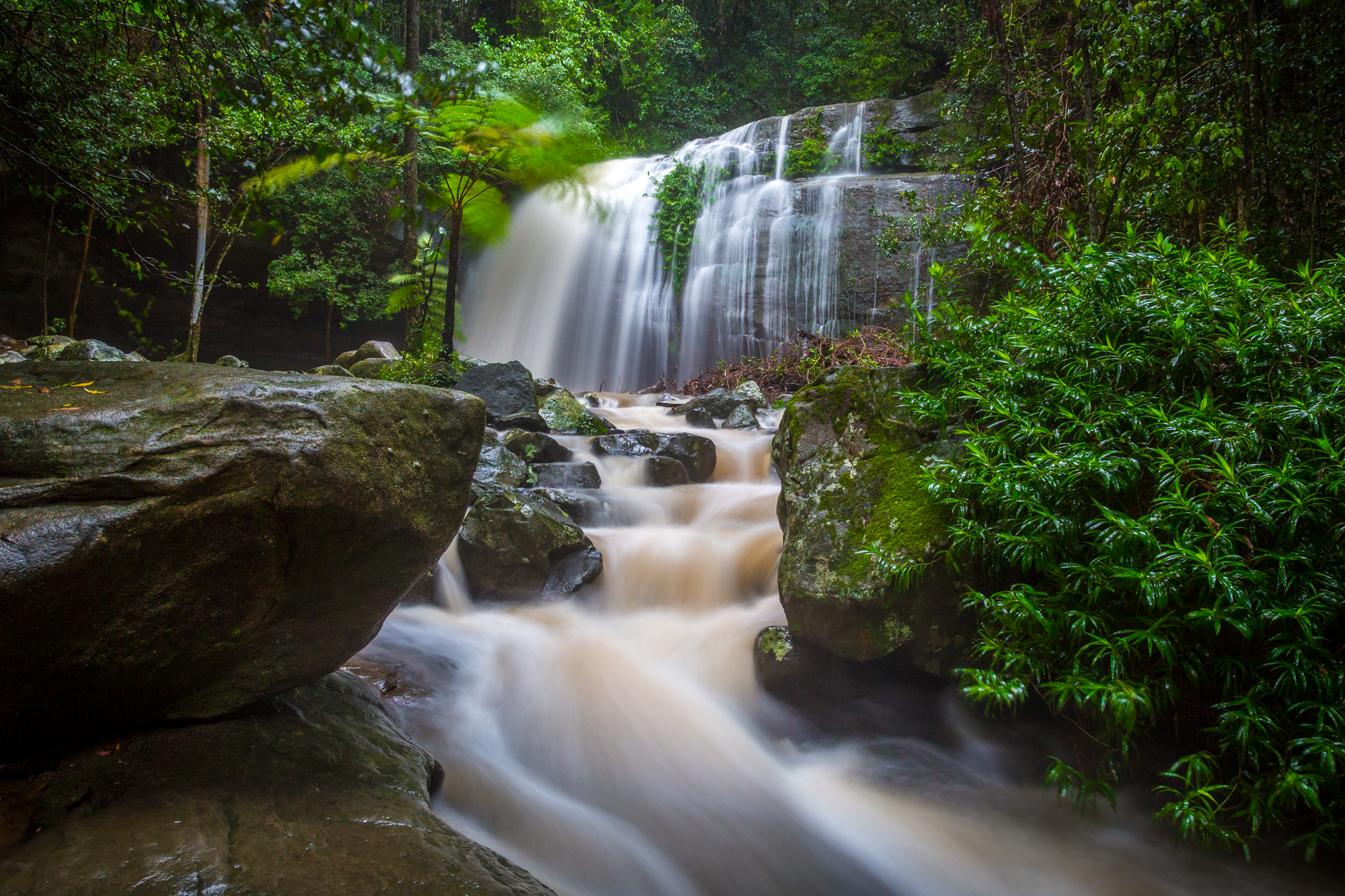 Explore Serenity Falls, Buderim, Buderim, Queensland