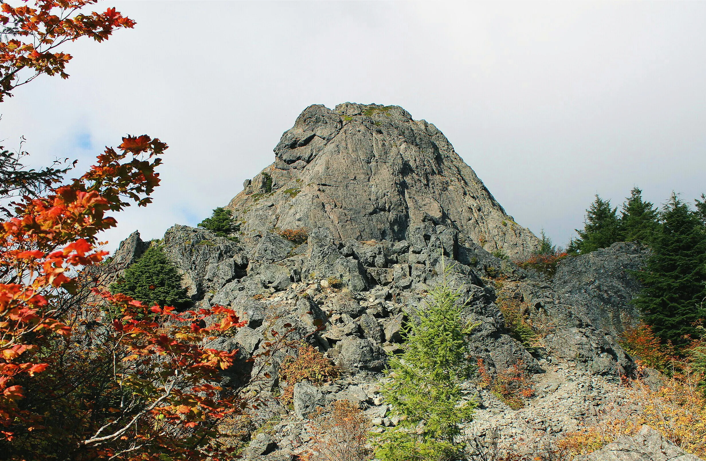 Hike the Big Mt Si