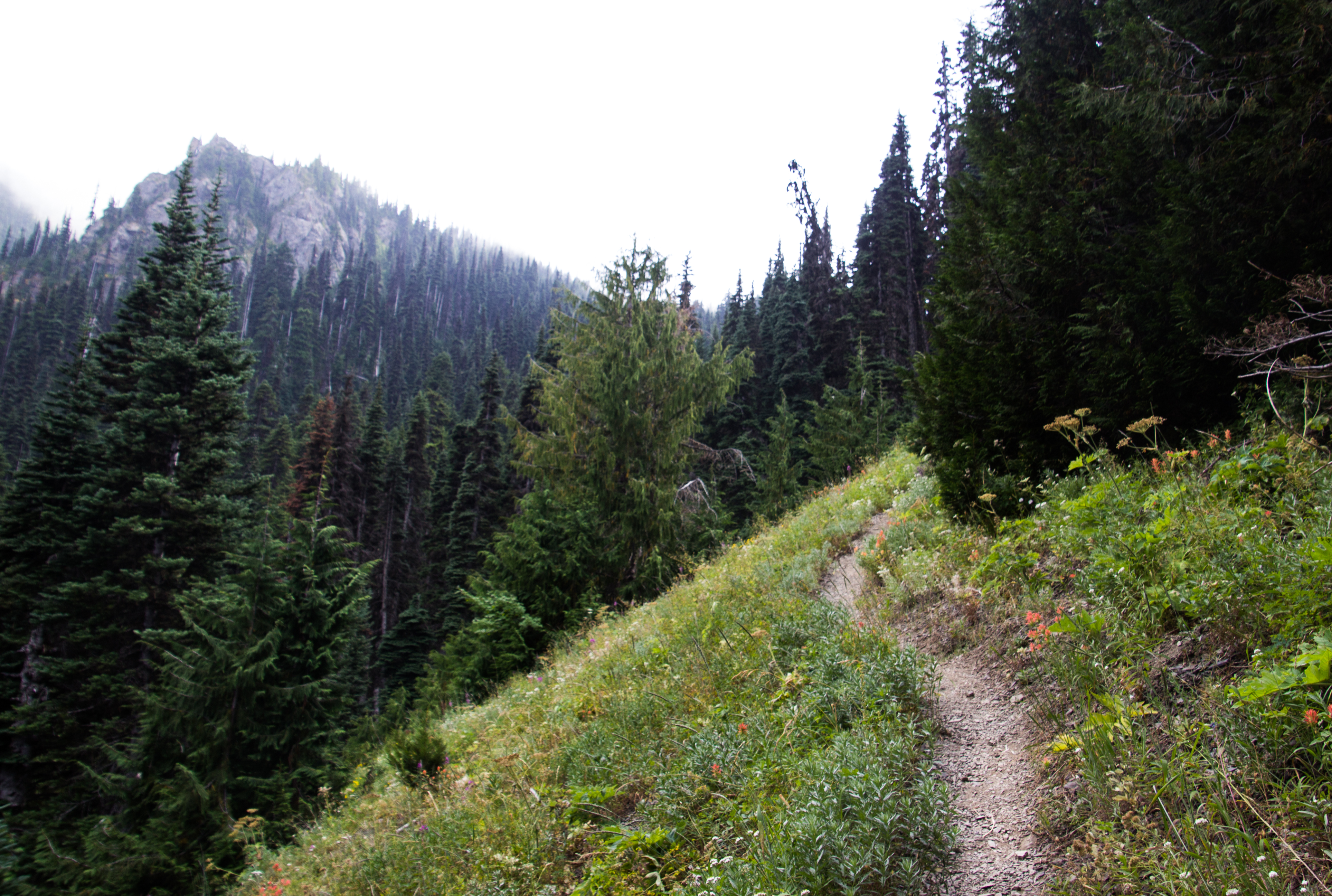Hike to PJ Lake, Olympic National Park 