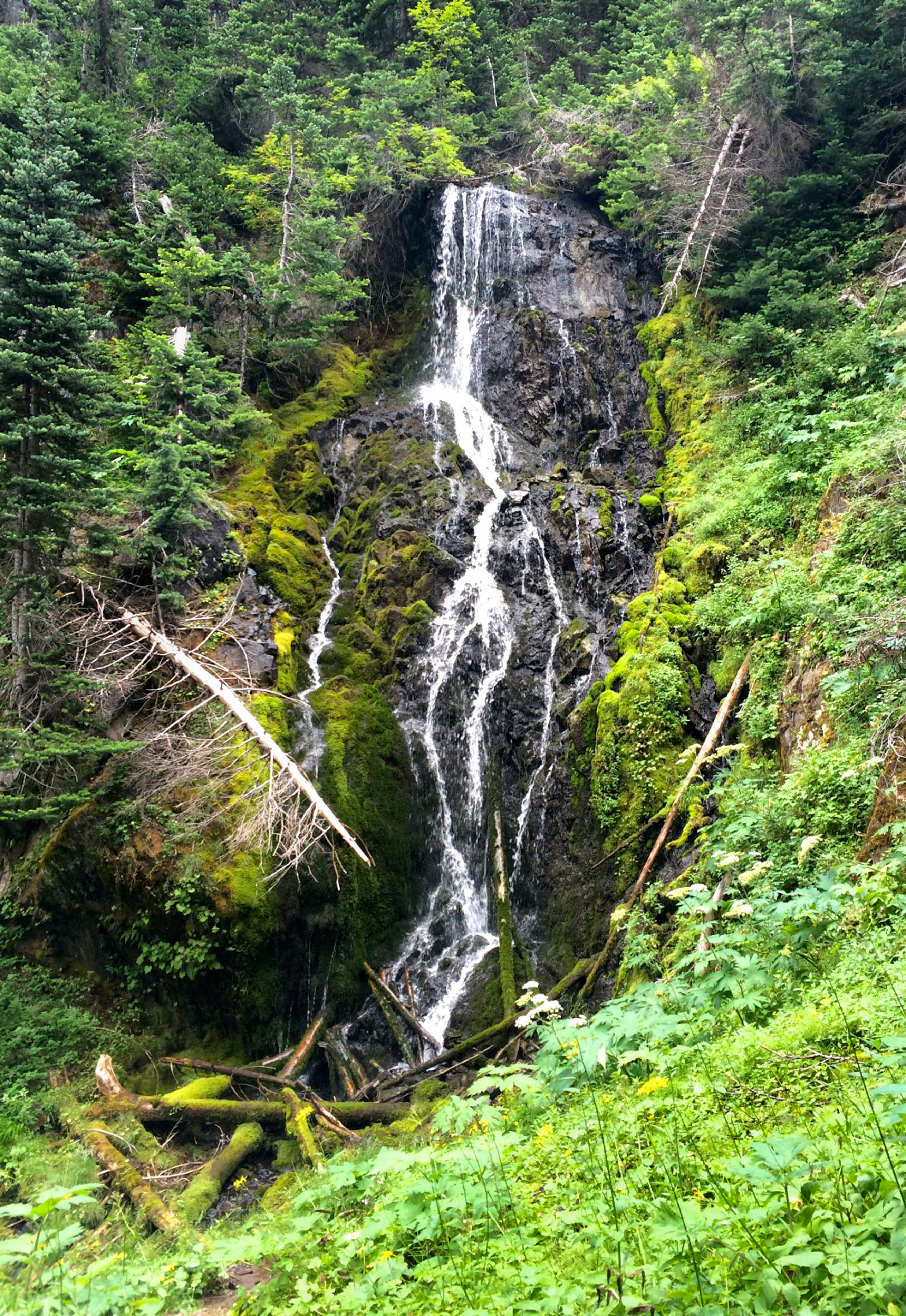 Hike to PJ Lake, Olympic National Park 
