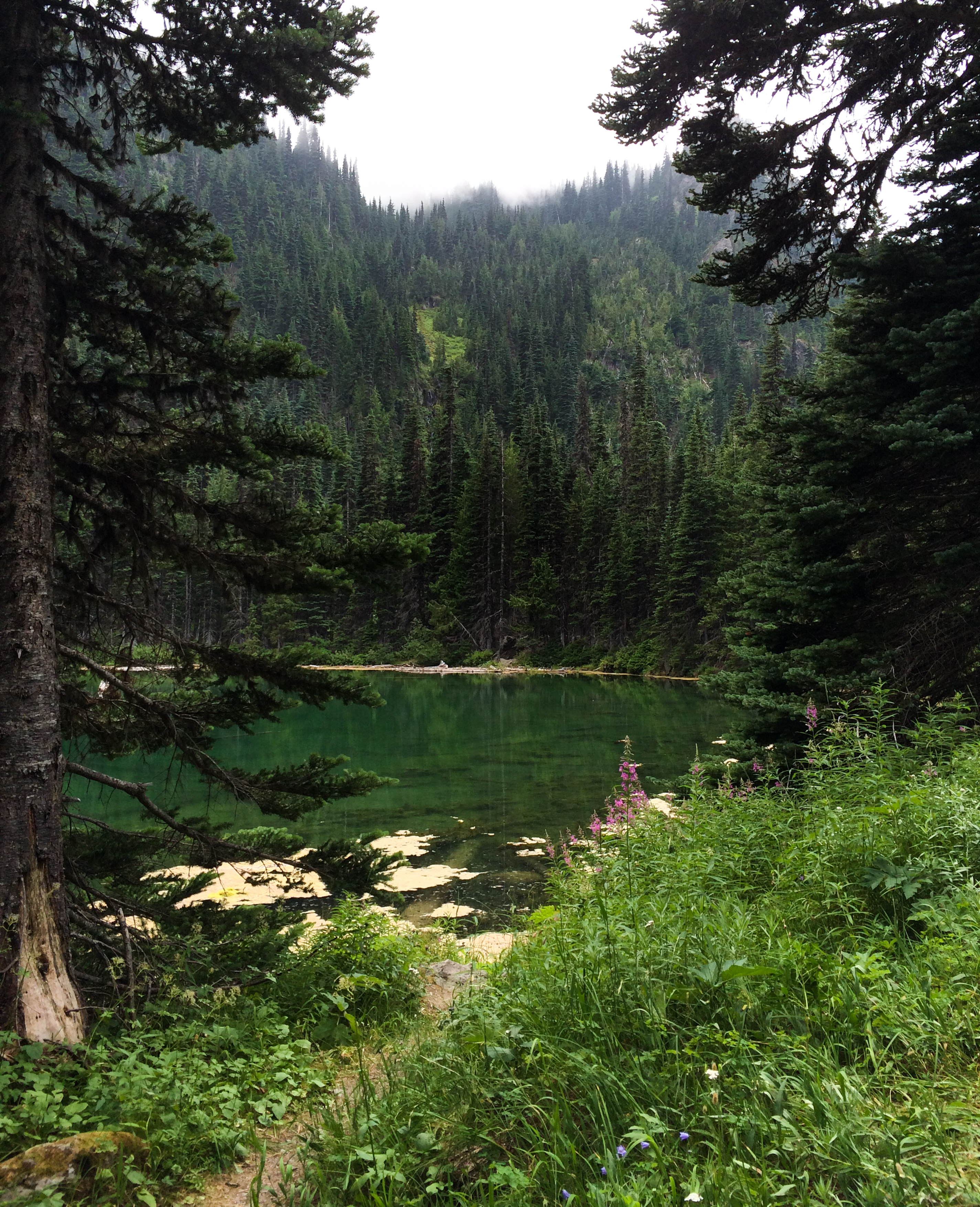 Hike to PJ Lake, Olympic National Park 