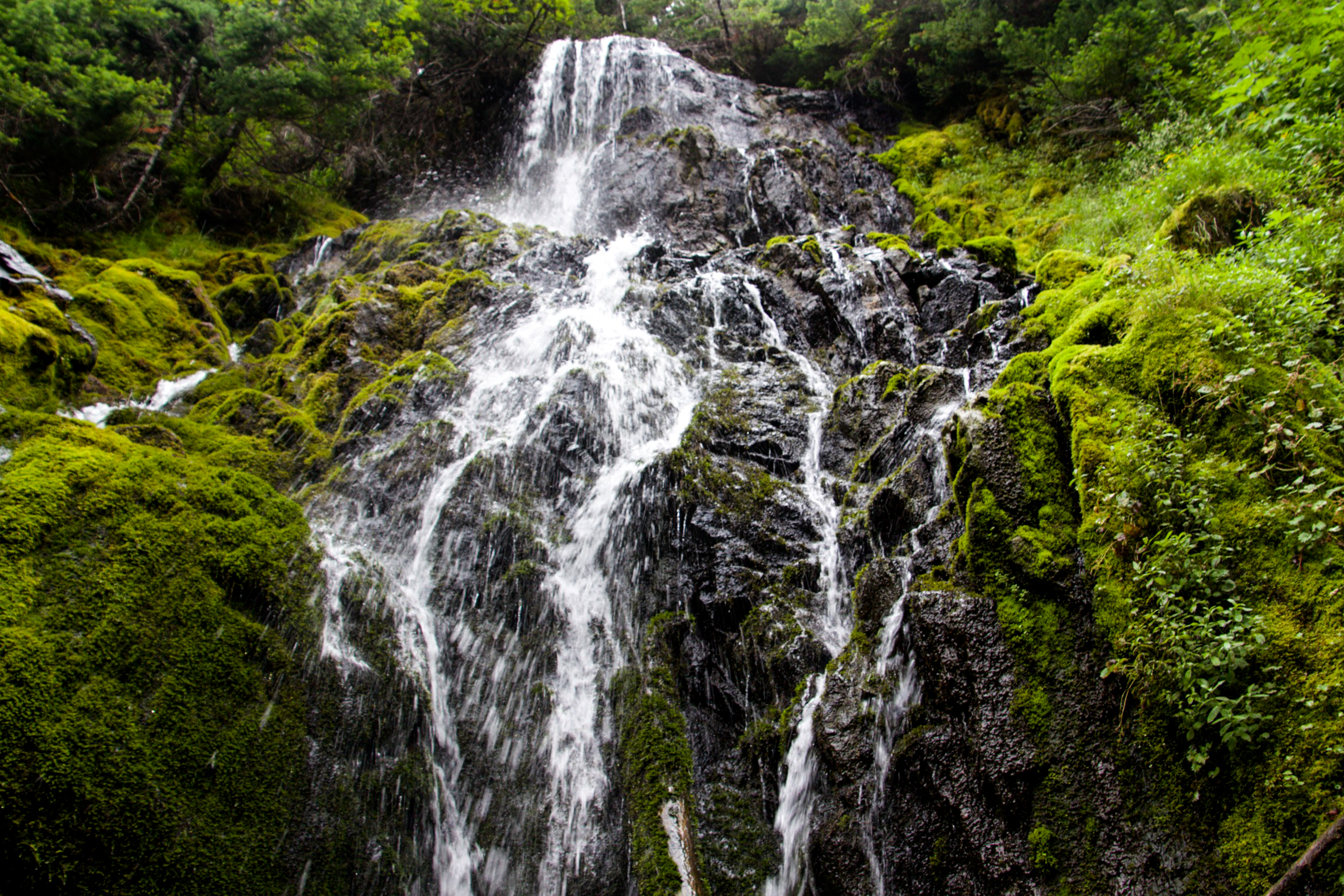 Hike to PJ Lake, Olympic National Park 