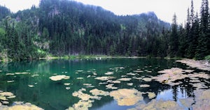 Hike to PJ Lake, Olympic National Park 