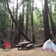 Camp at Ventana Campground, Big Sur