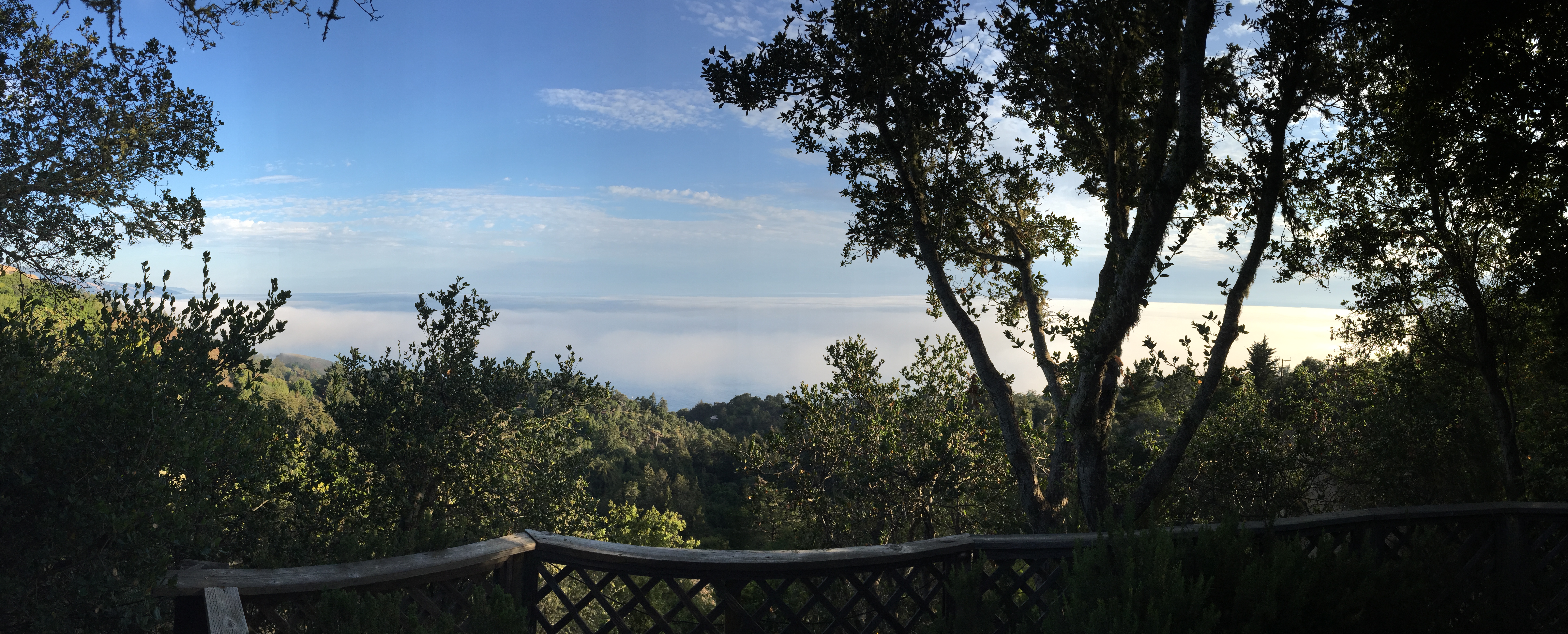 Camp at Ventana Campground, Big Sur