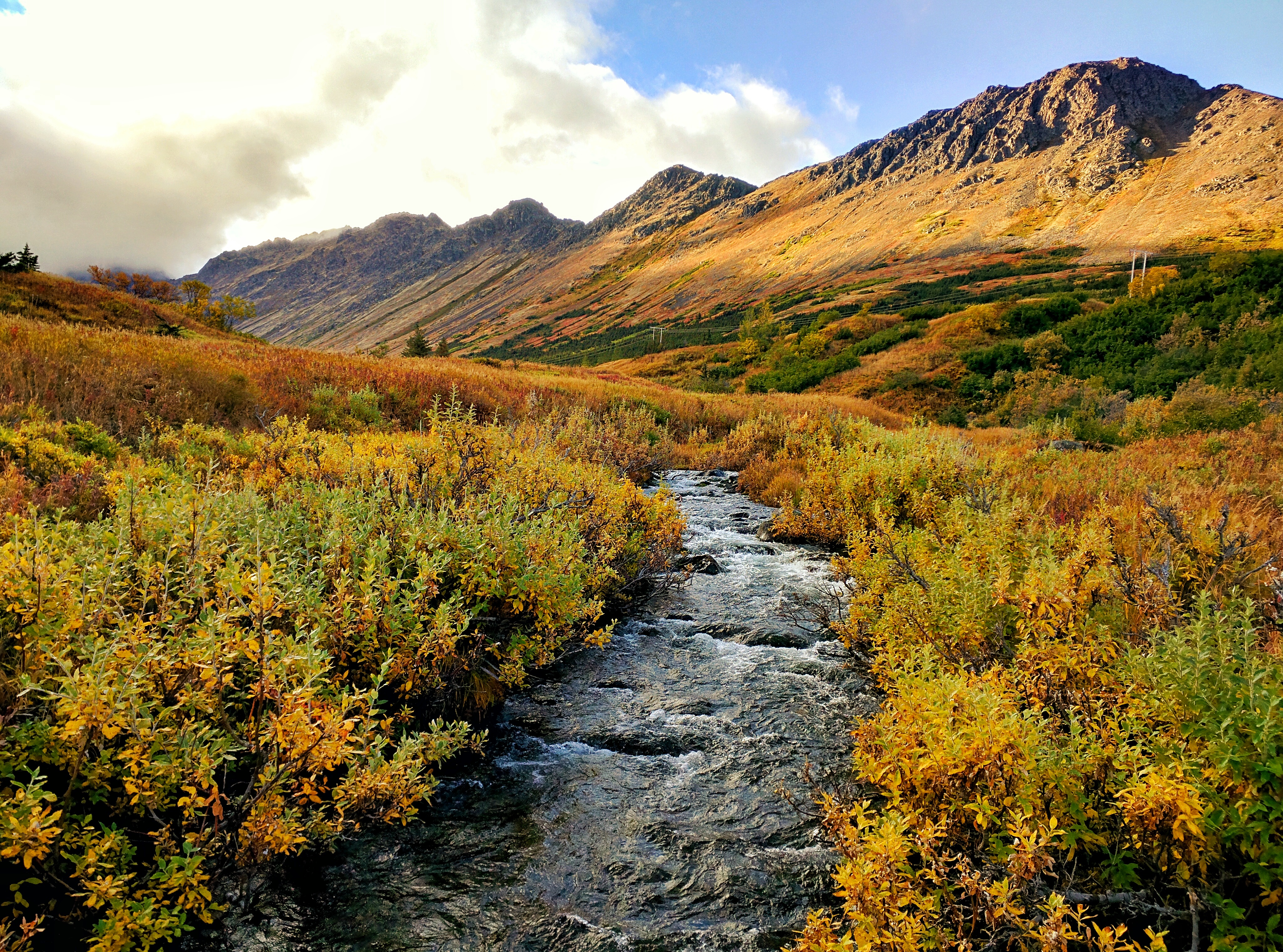 Hike O'Malley Peak