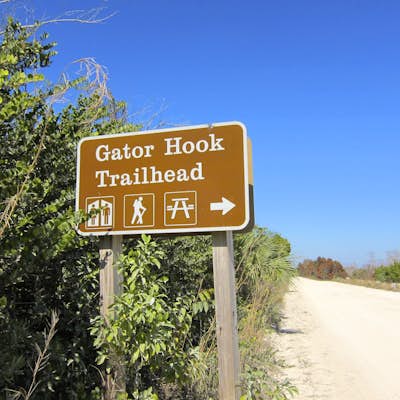 Hike the Gator Hook Trail
