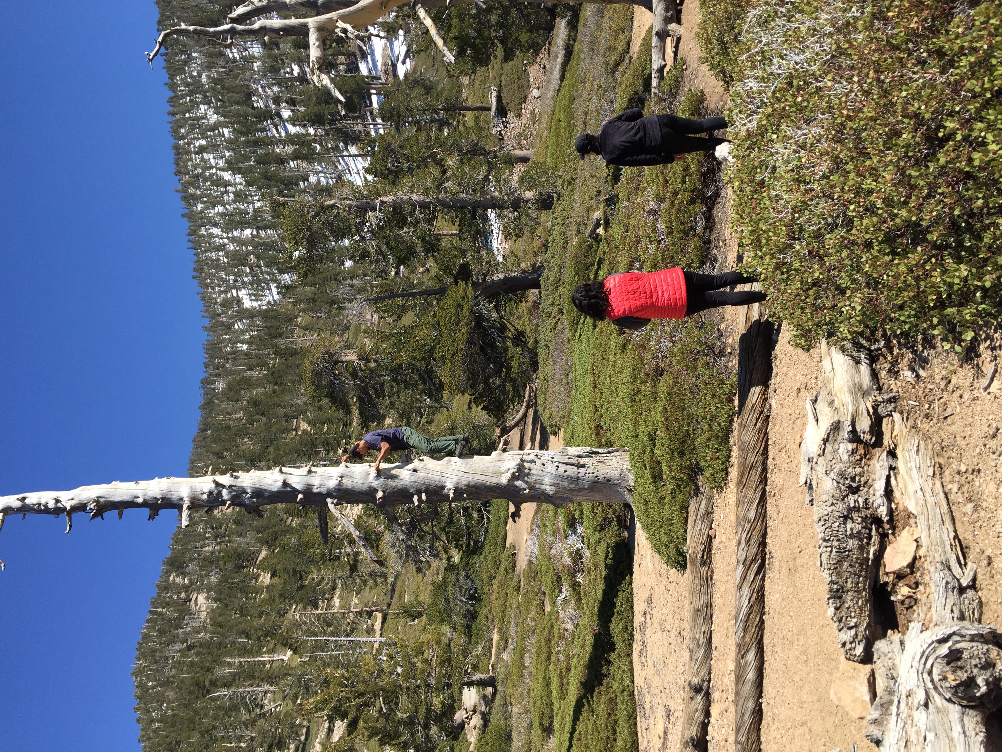 San Bernardino Peak