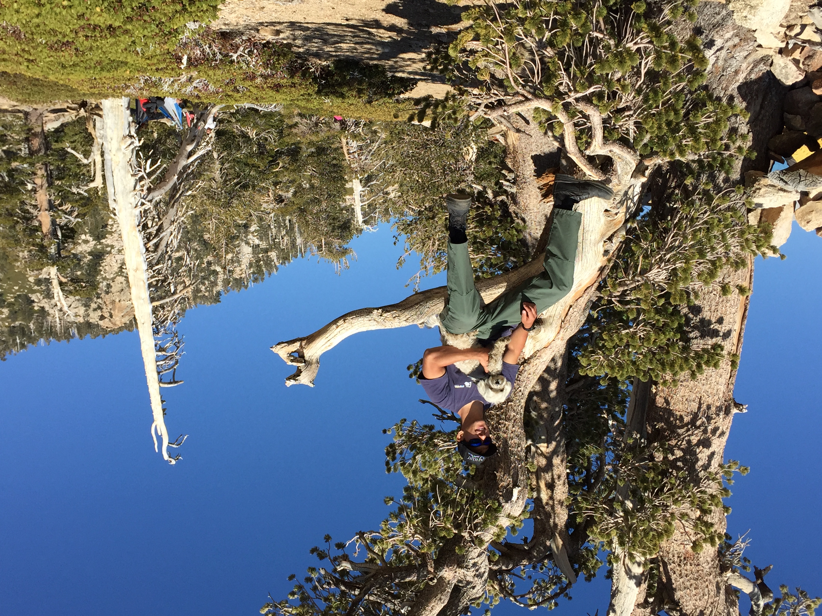 San Bernardino Peak