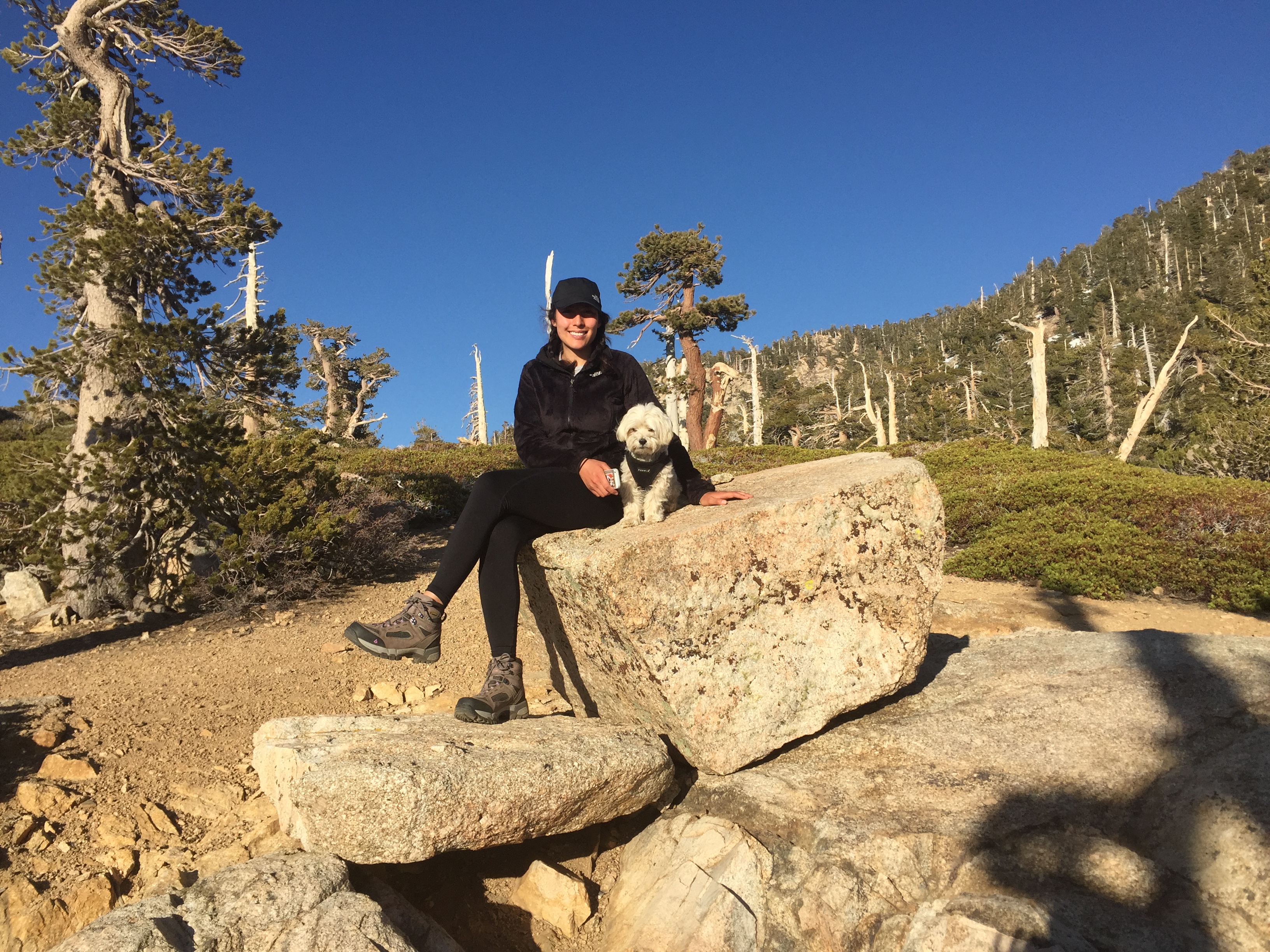 San Bernardino Peak
