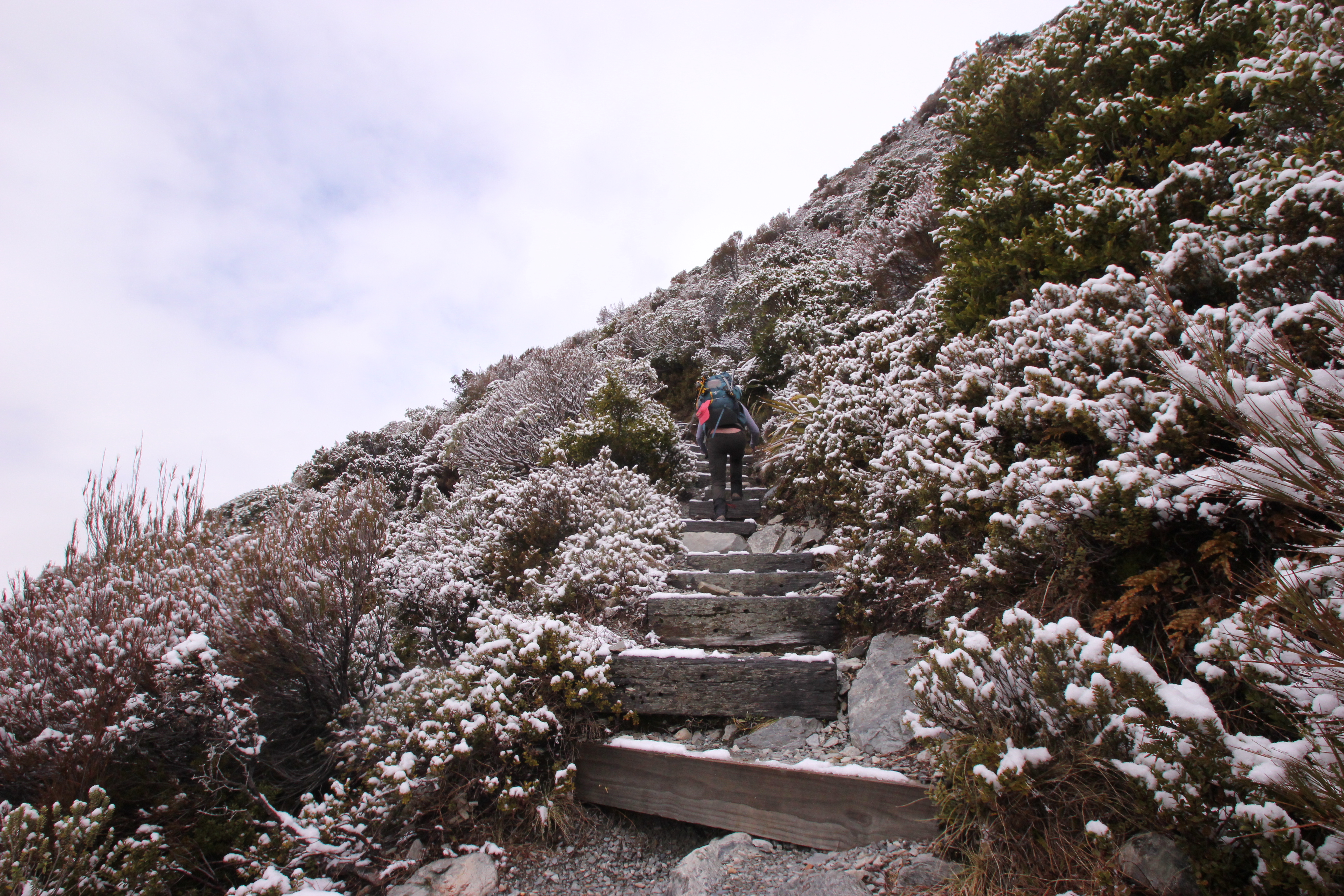 Hike to Sealy Tarns 