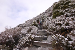 Hike to Sealy Tarns 