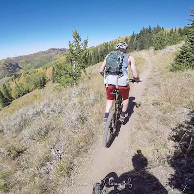Mountain Bike The Crest Trail