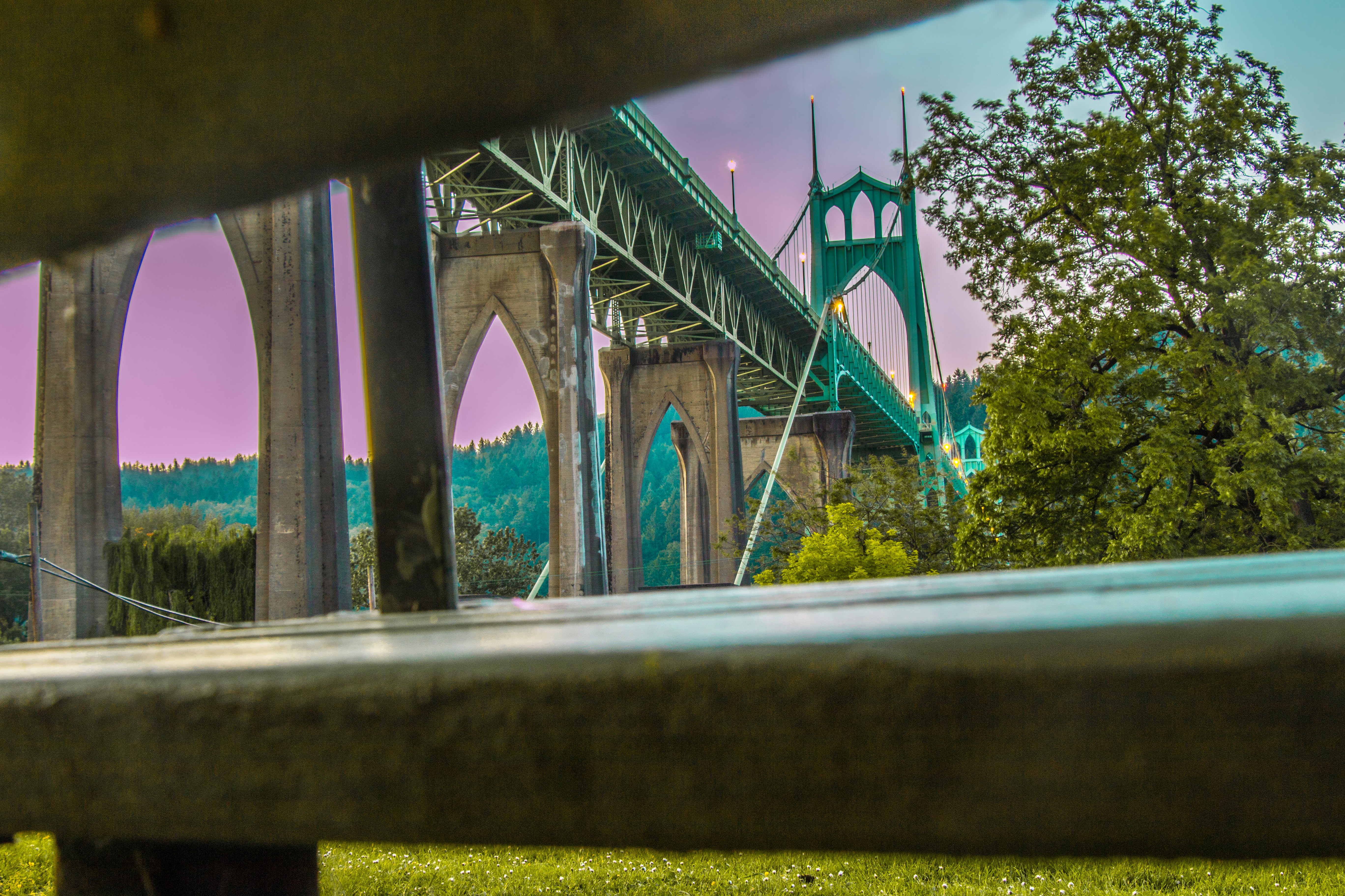 Explore Cathedral Park