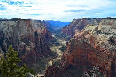 Hike to Observation Point in Zion National Park