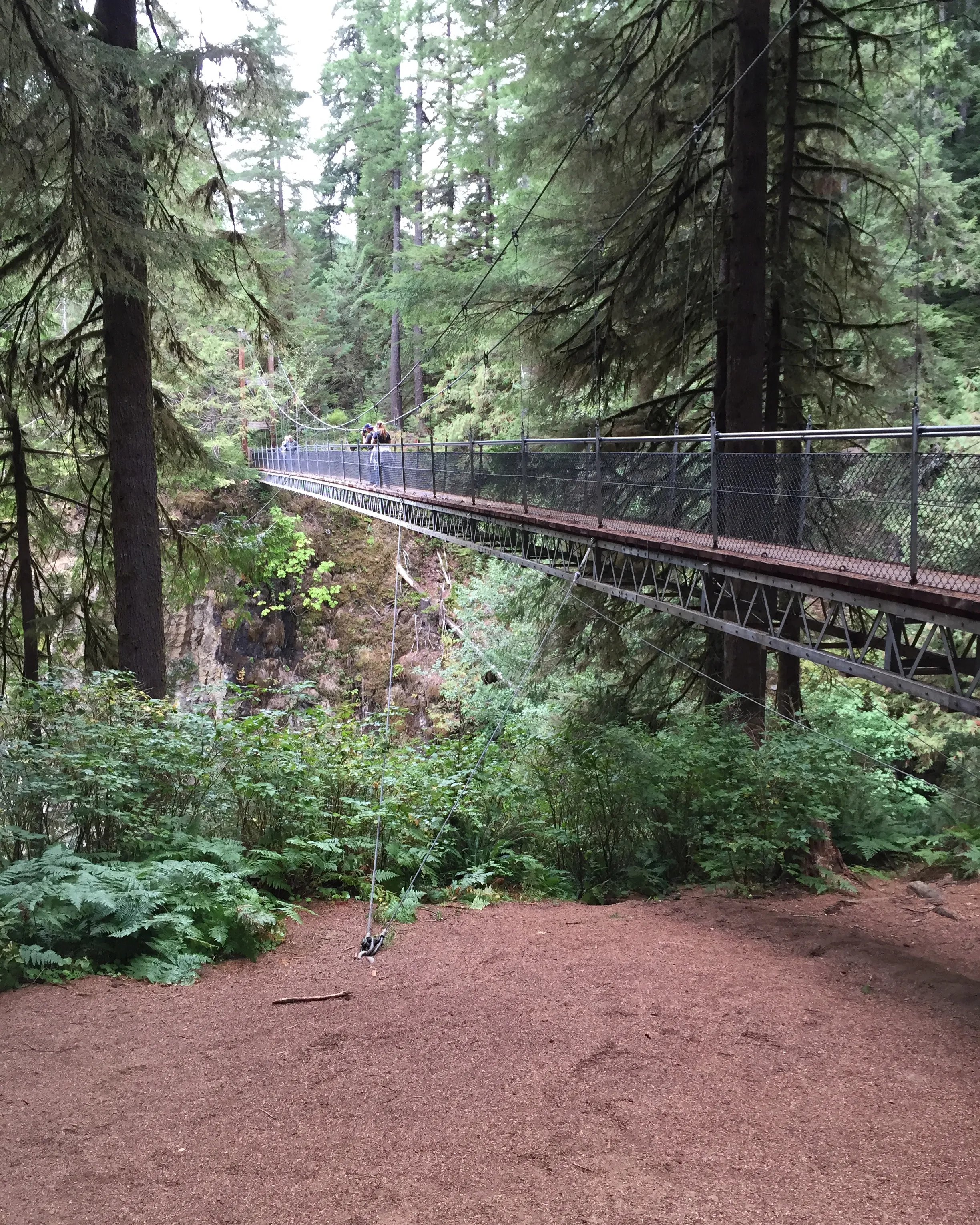 Drift Creek Falls