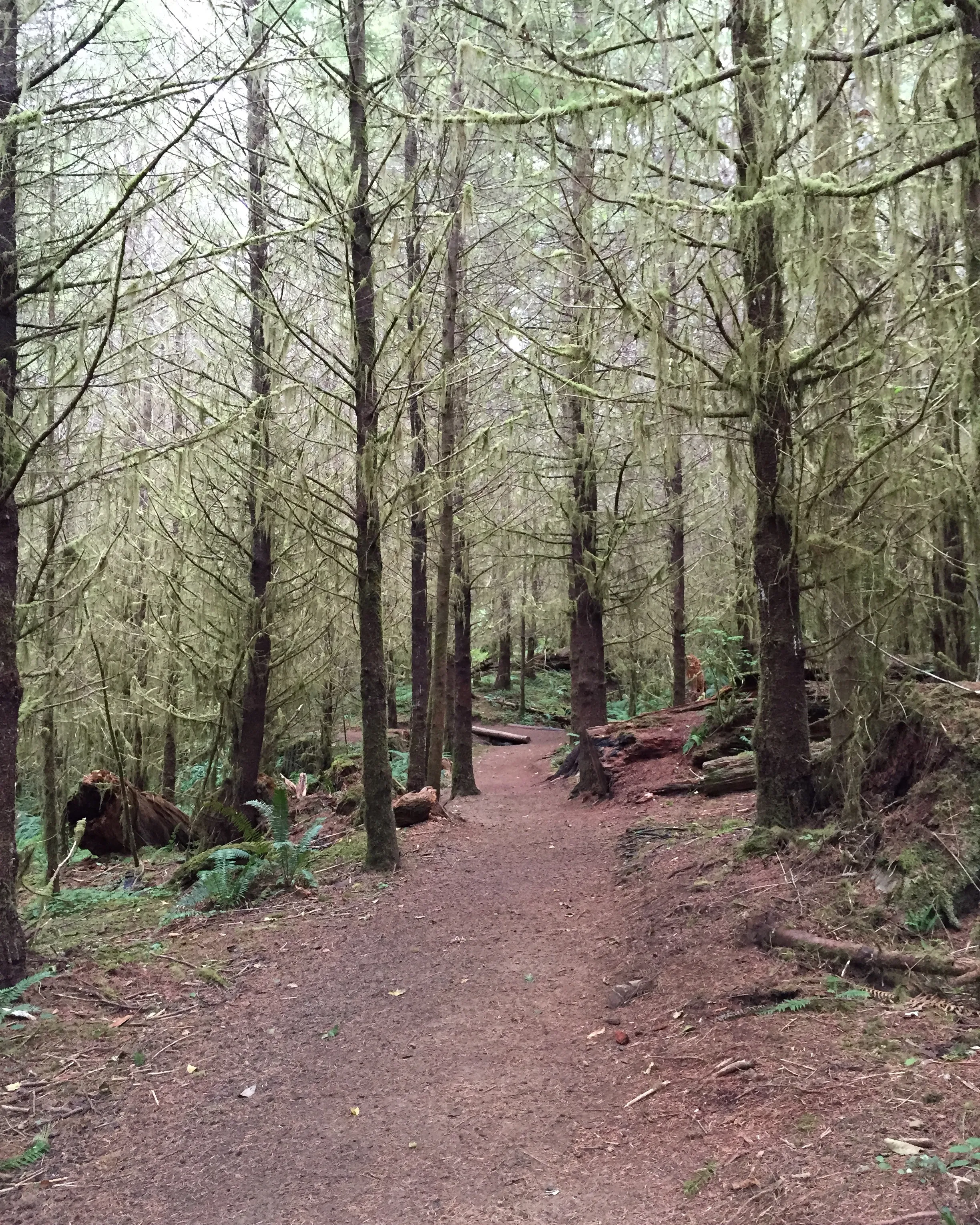 Drift Creek Falls