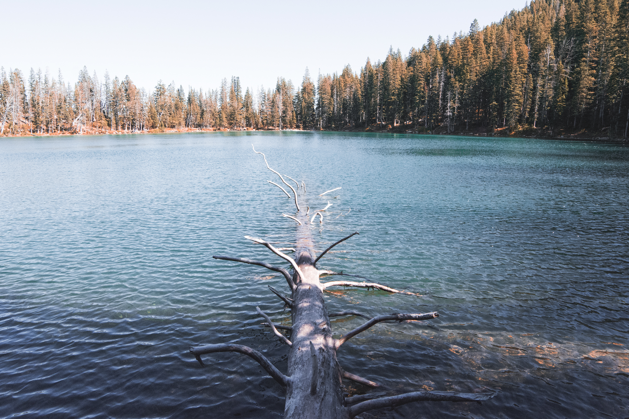 Relax at Fairy Lake