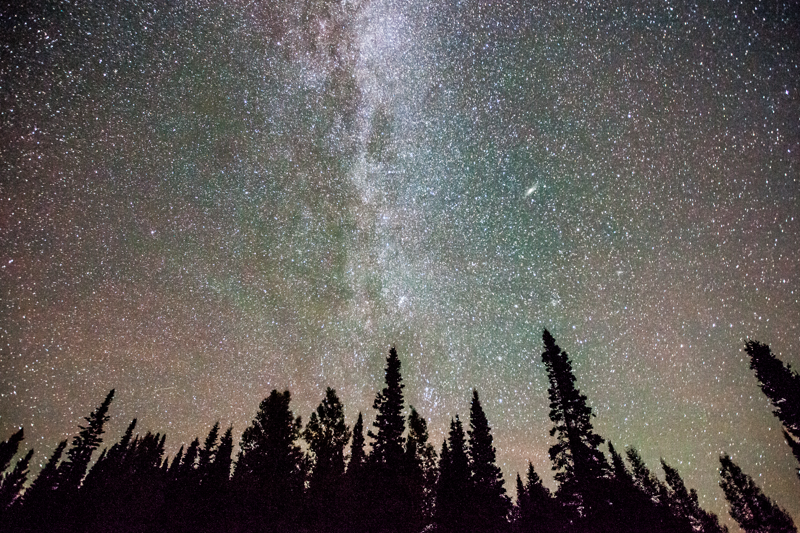 Camp Near Little Muddy Creek, Routt National Forest