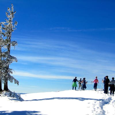 Cross-Country Ski or Snowshoe to Ralston Peak