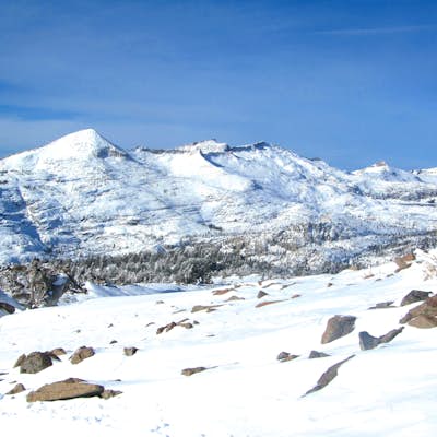 Cross-Country Ski or Snowshoe to Ralston Peak
