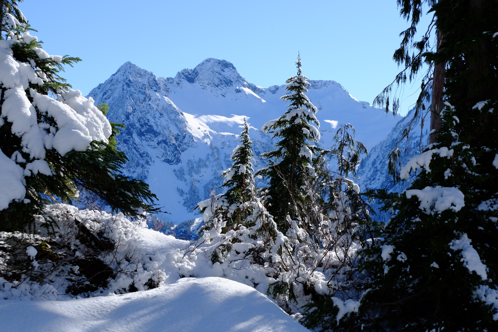 Climb Del Campo Peak, WA