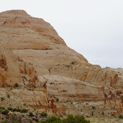Grand Wash Trail, Capitol Reef National Park
