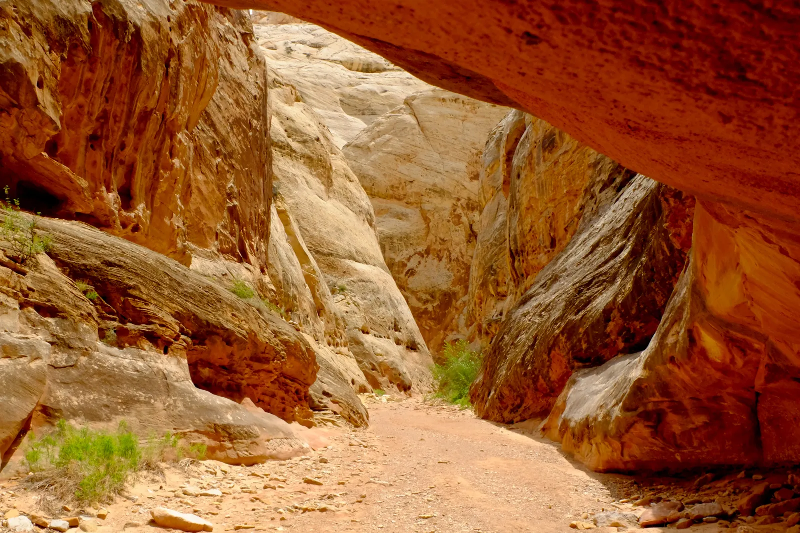 Grand Wash Trail, Capitol Reef National Park