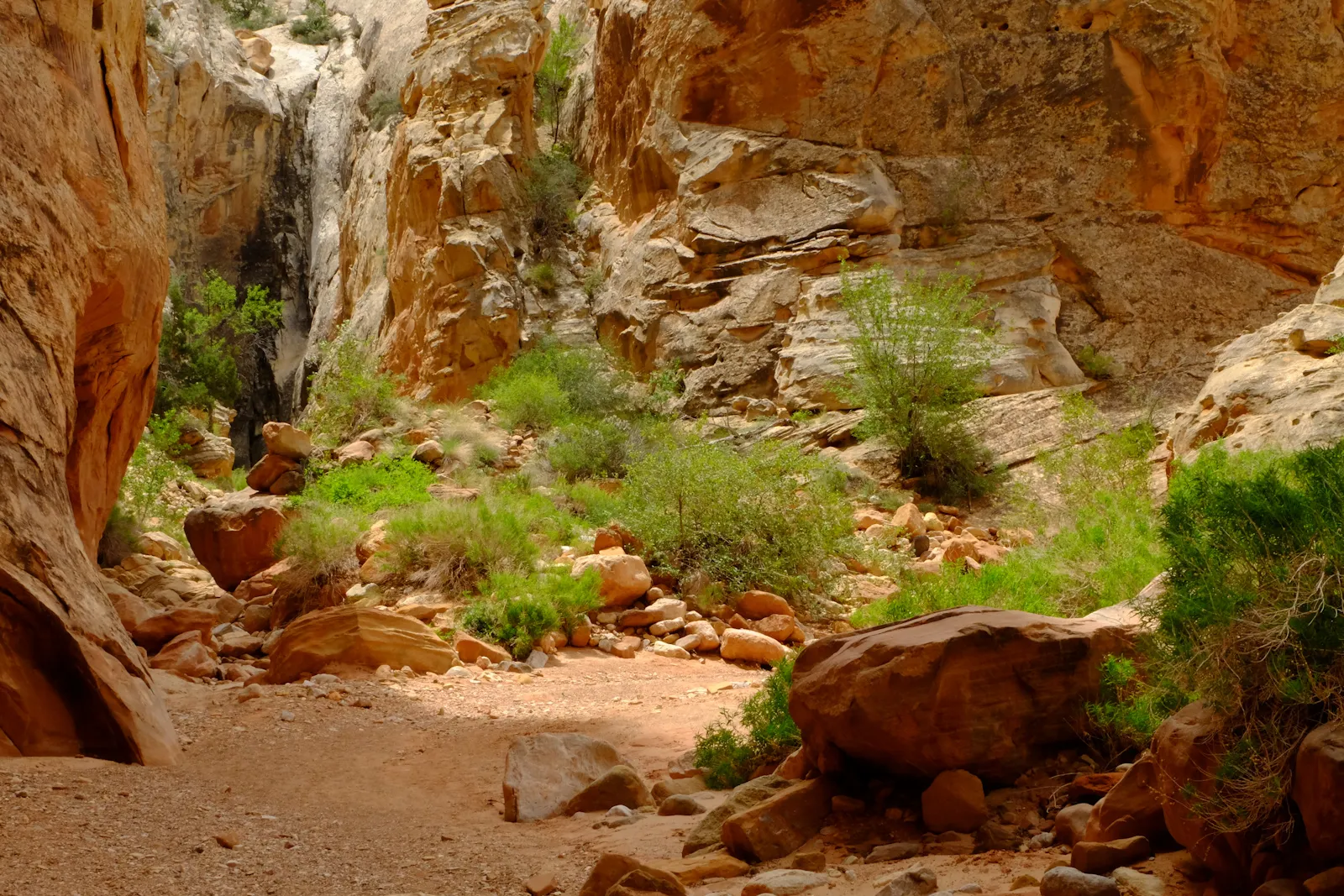 Grand Wash Trail, Capitol Reef National Park