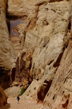 Grand Wash Trail, Capitol Reef National Park