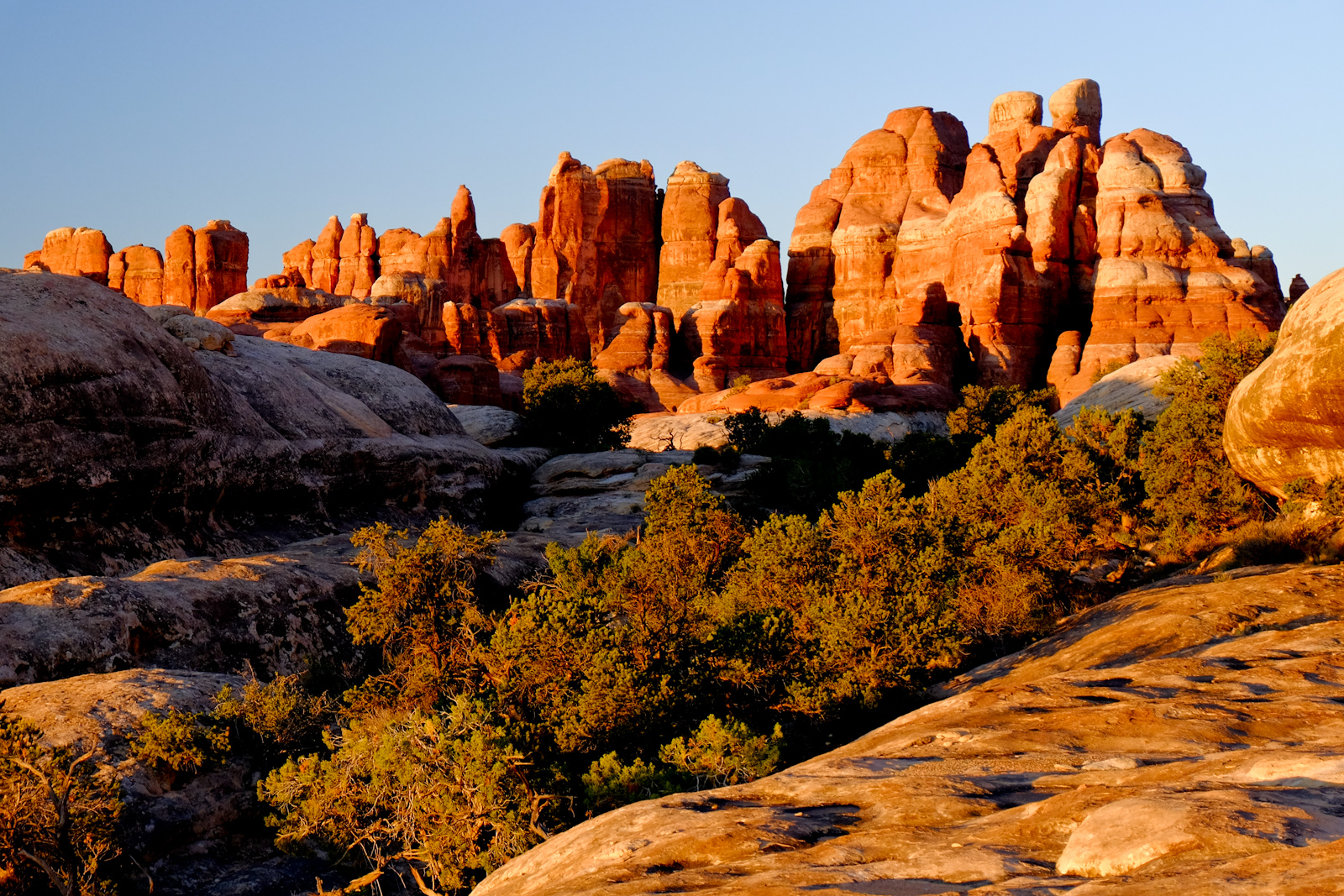 Hike Chesler Park and Joint Trails, Canyonlands NP, Monticello, Utah