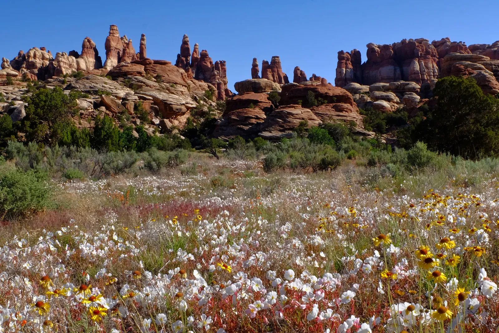 Chesler Park and Joint Trails Loop