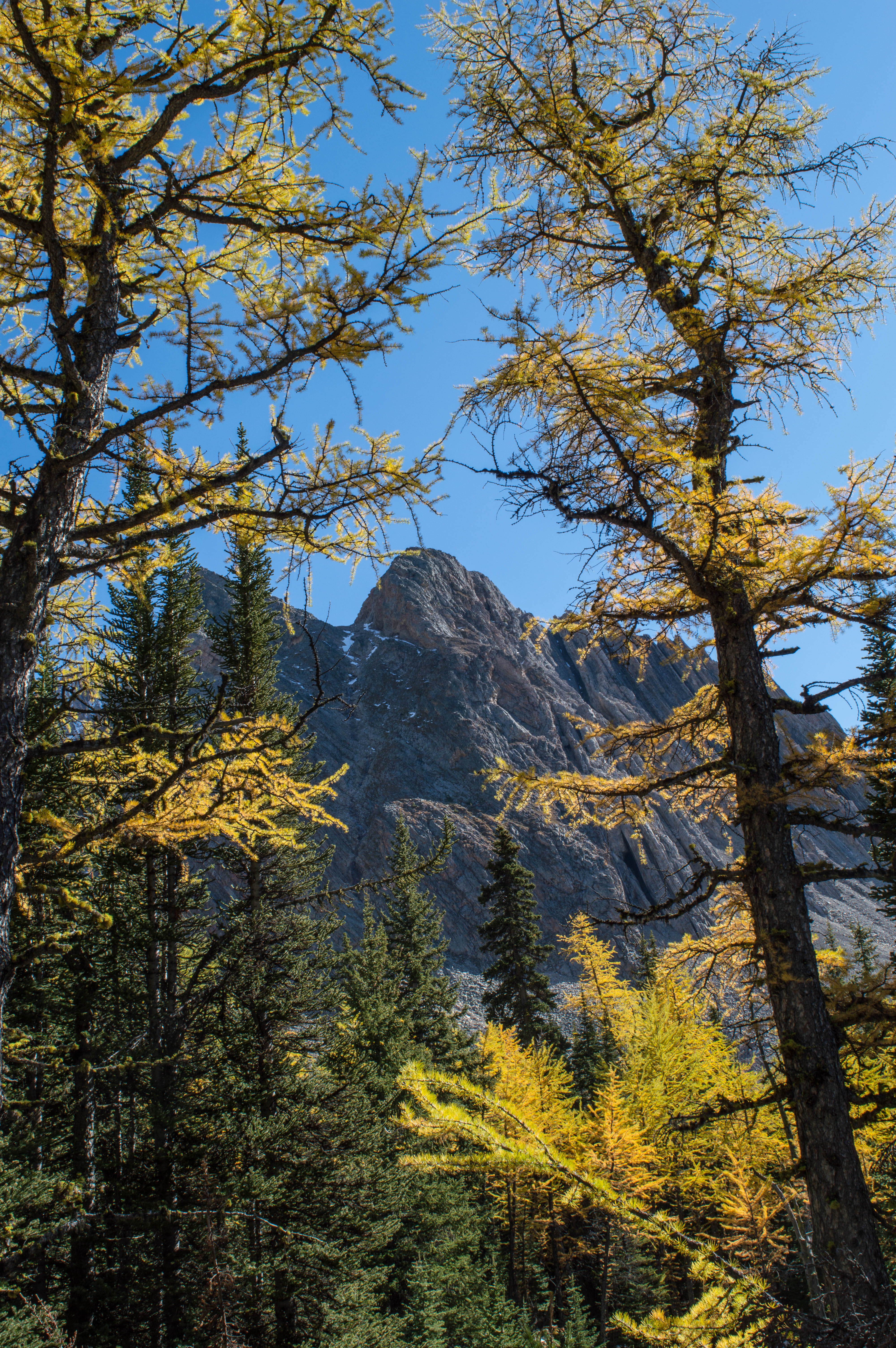 Hike to Little Arethusa