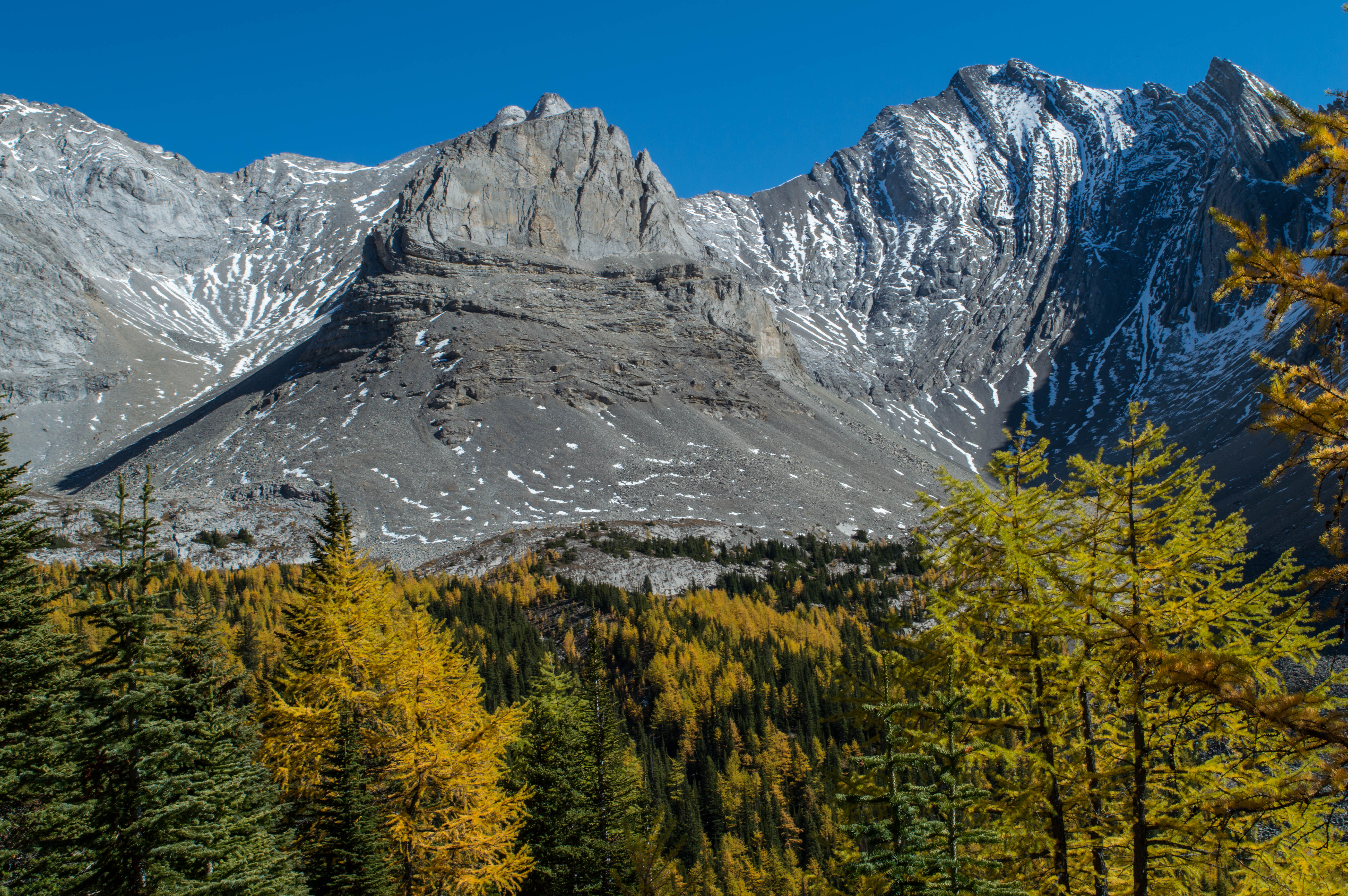Hike to Little Arethusa