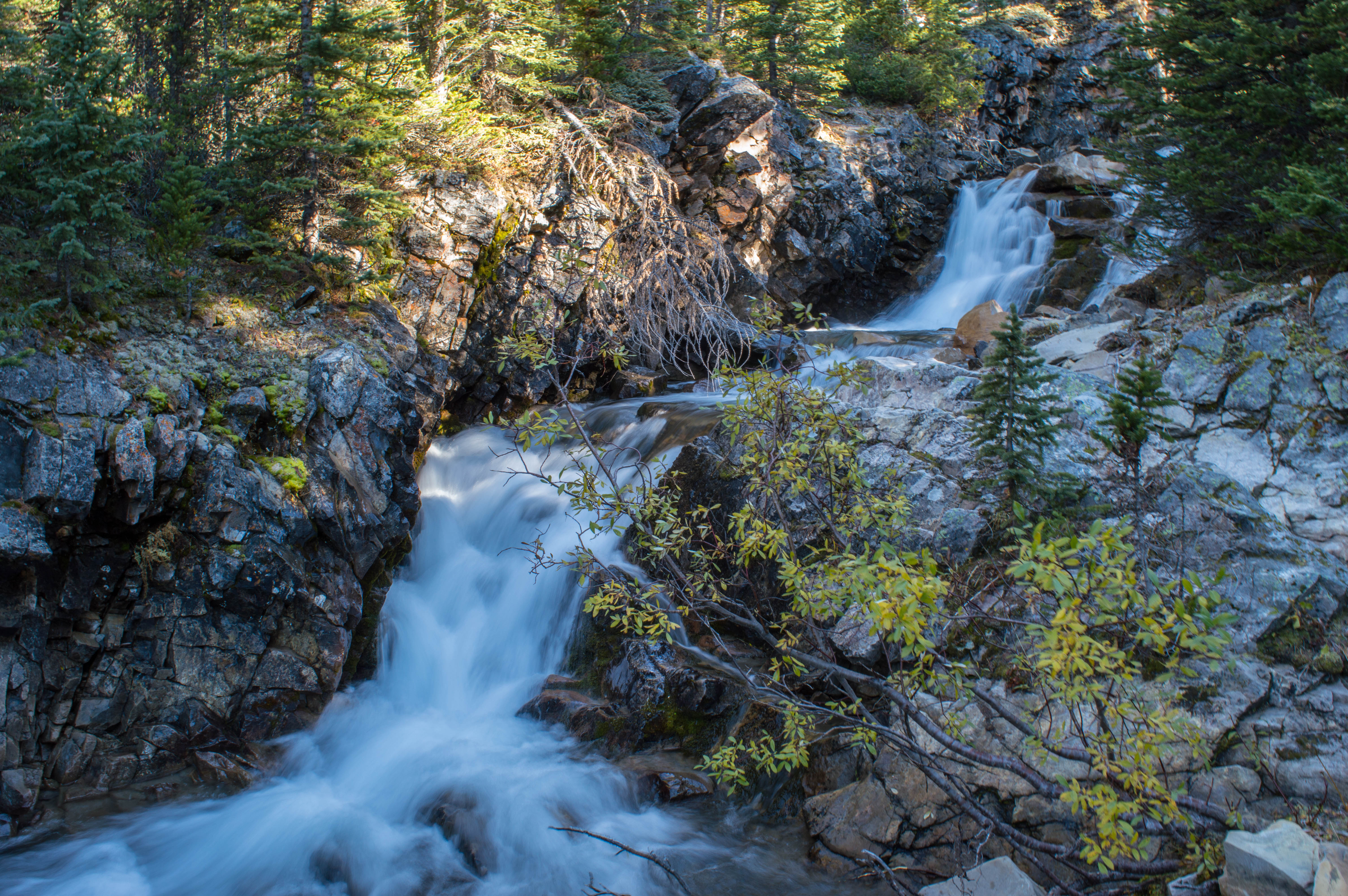 Hike to Little Arethusa
