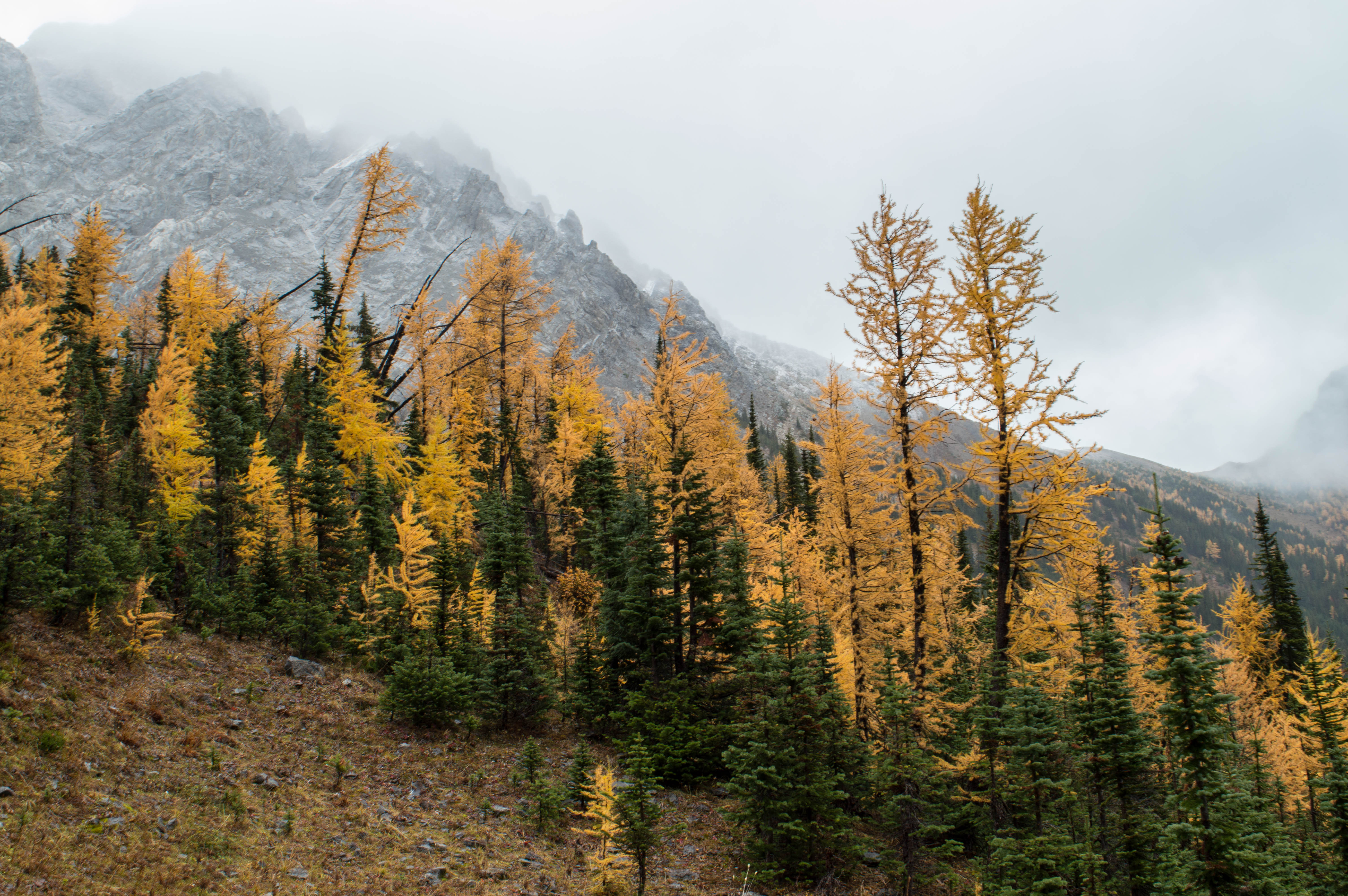 Scramble Smutwood Peak