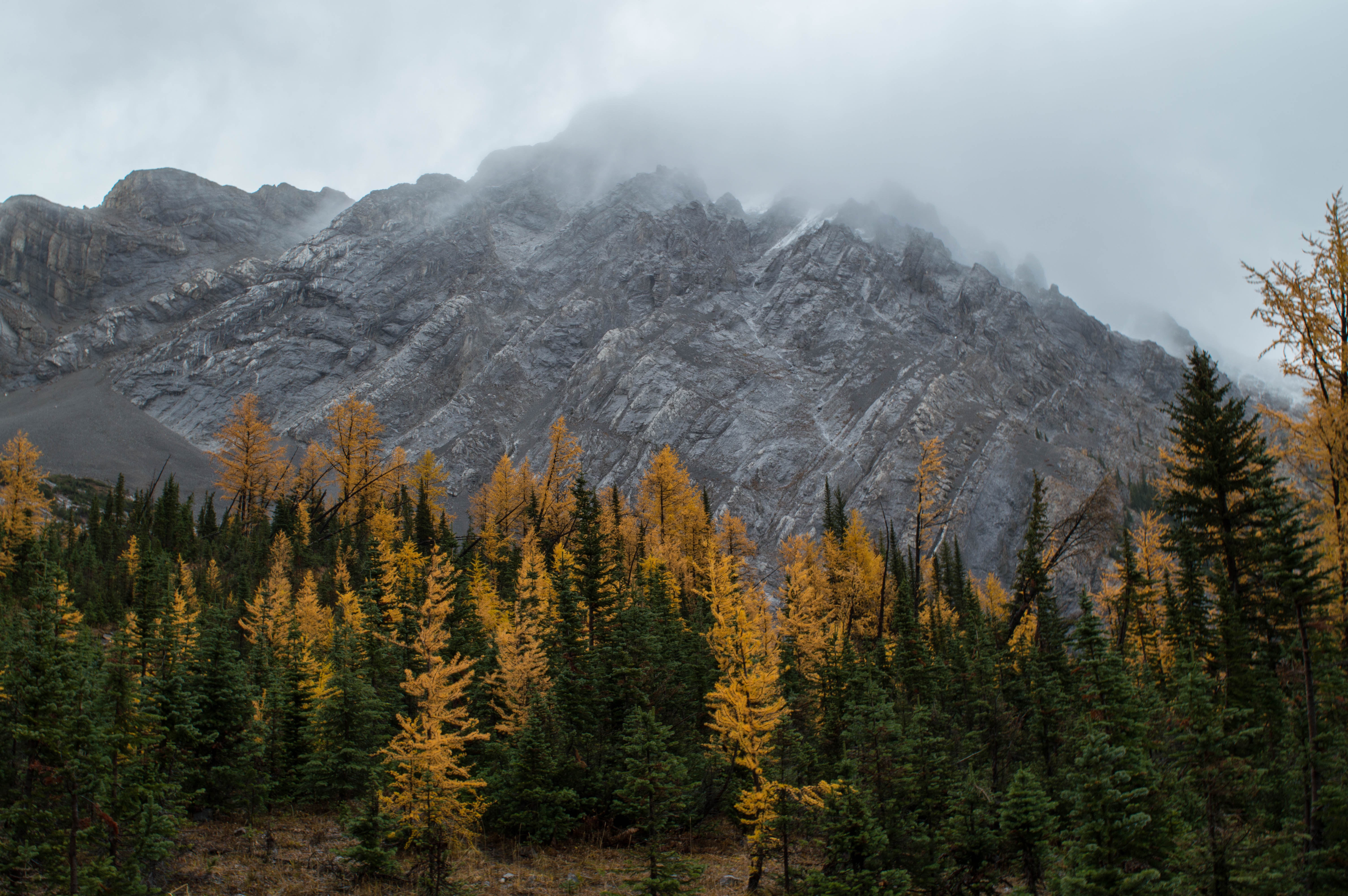 Scramble Smutwood Peak