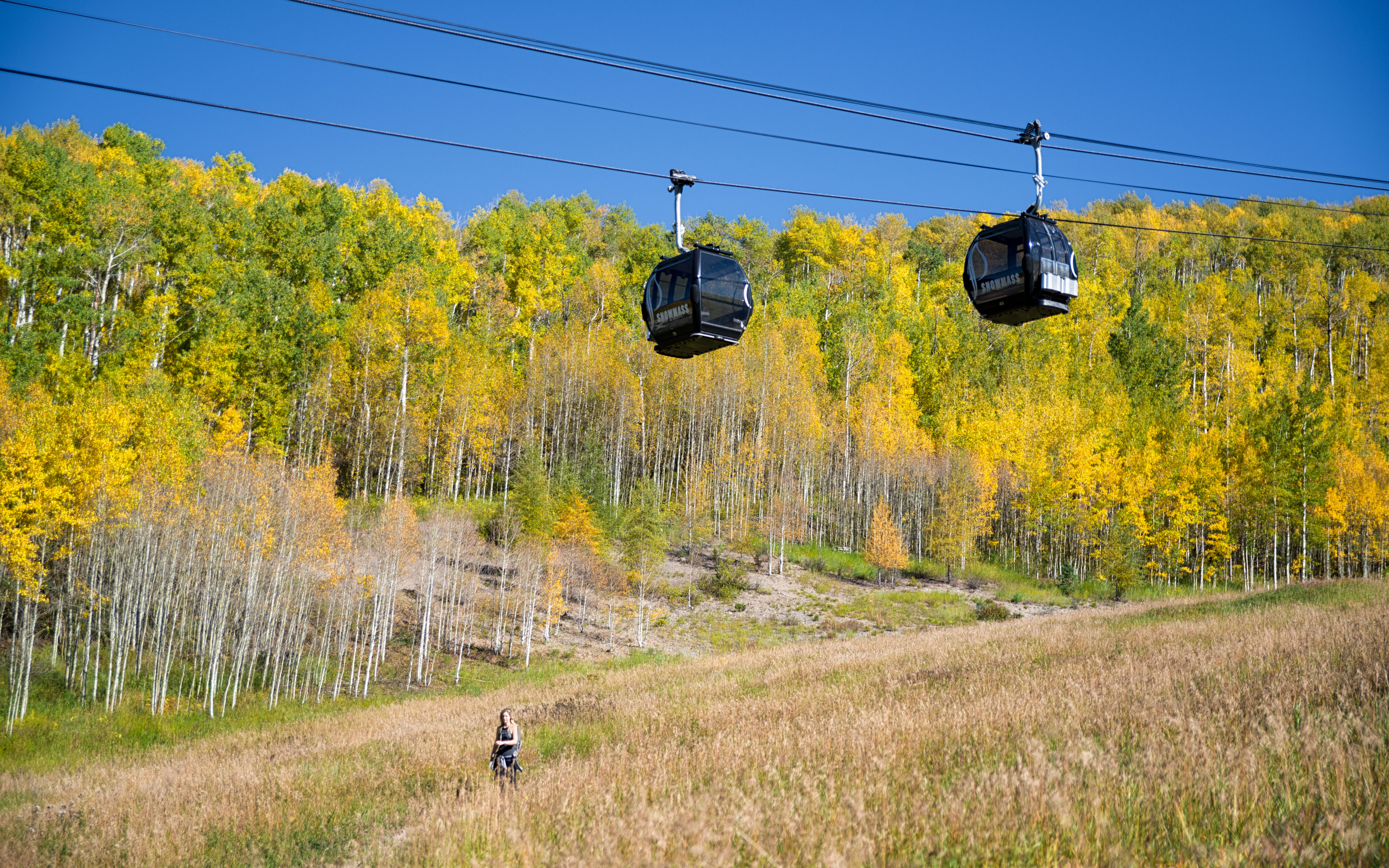Explore Aspen's Foliage Along Government Trail