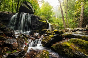 Hike to Apple Orchard Falls