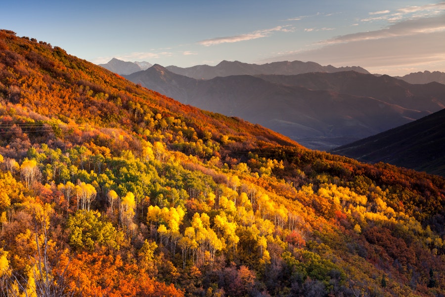 The Top 5 Spots For Fall Leaves Near Salt Lake City