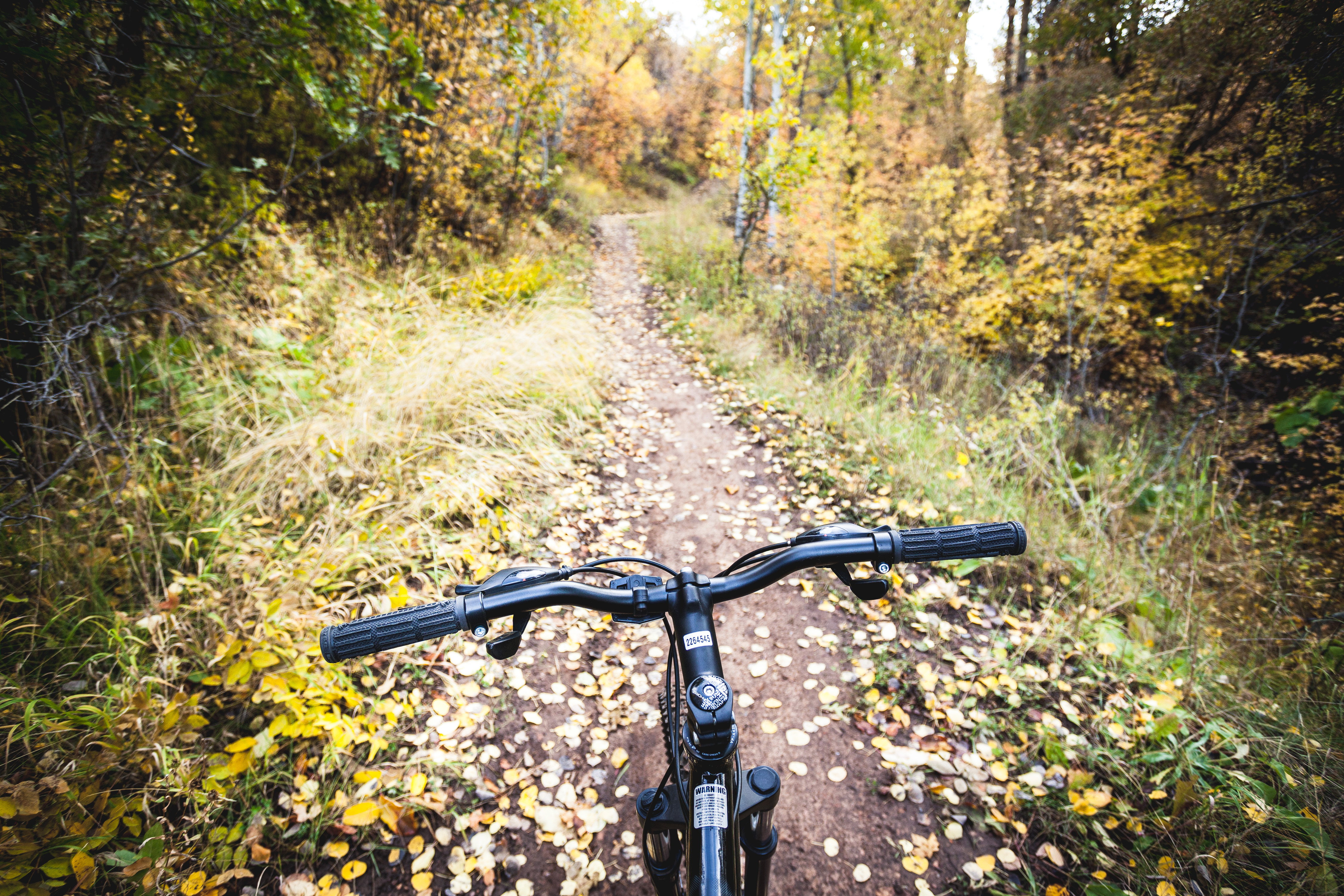 Explore Big Mountain Pass