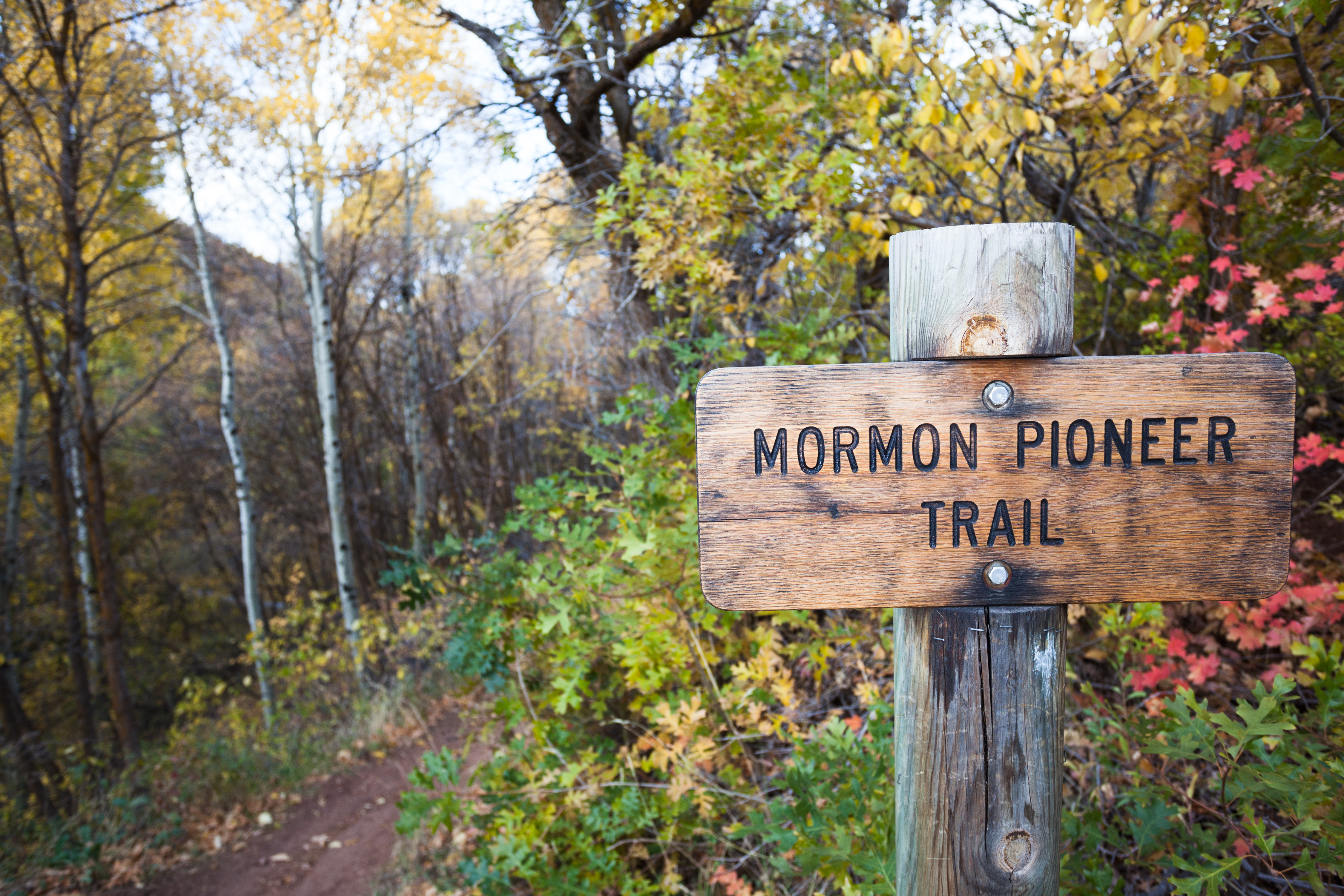 Explore Big Mountain Pass