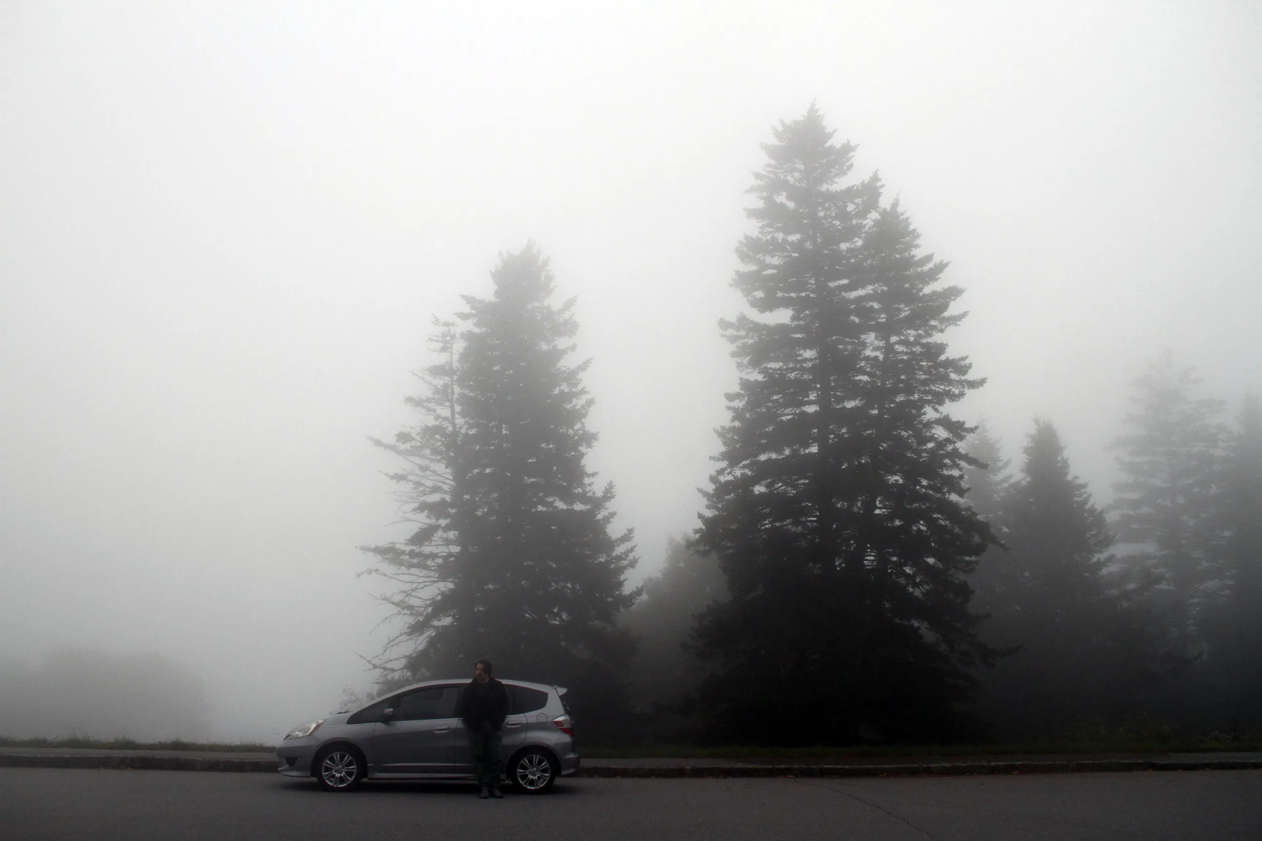 Drive the Blue Ridge Parkway from the Southern Terminus