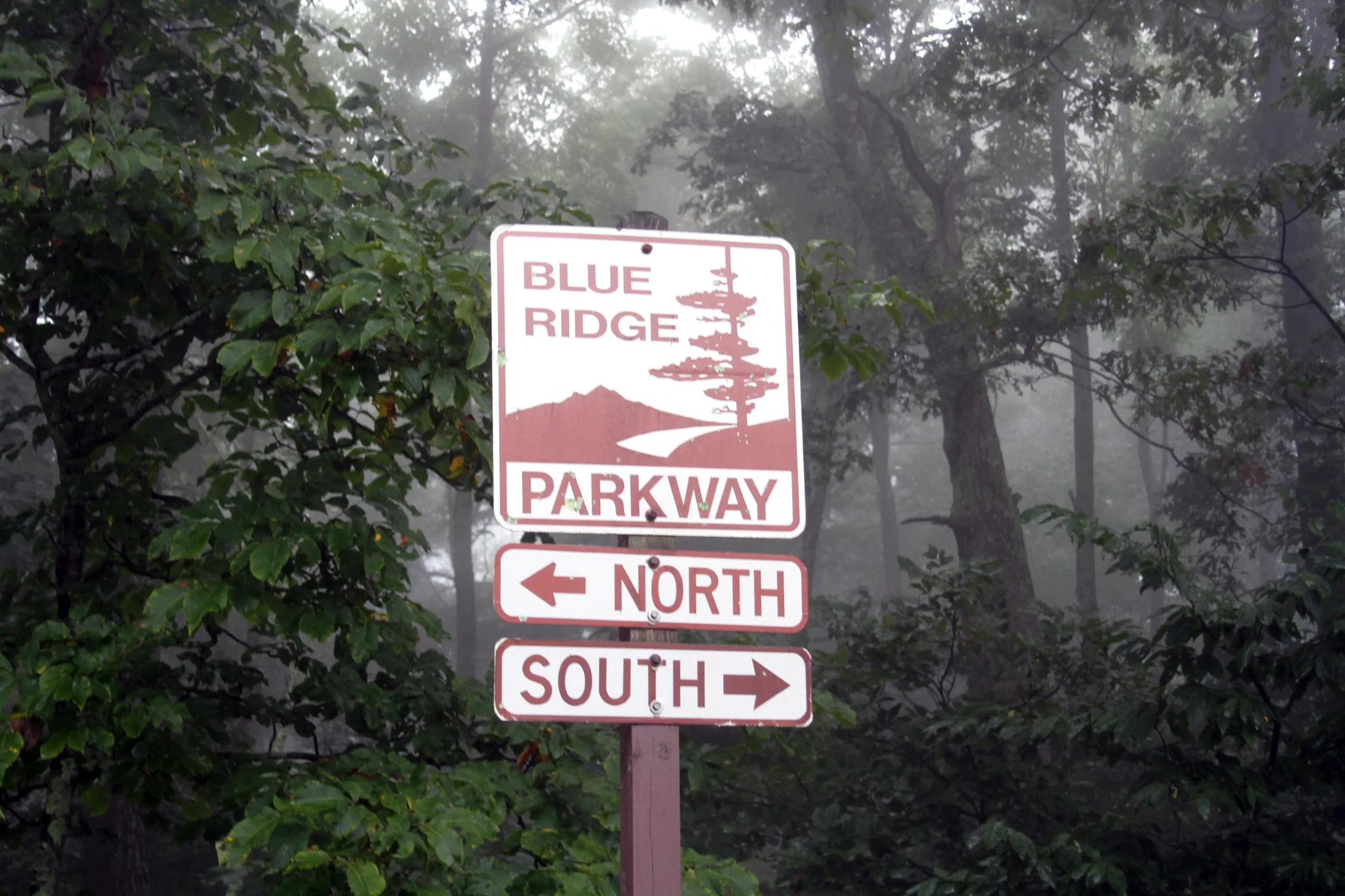 Drive the Blue Ridge Parkway from the Southern Terminus